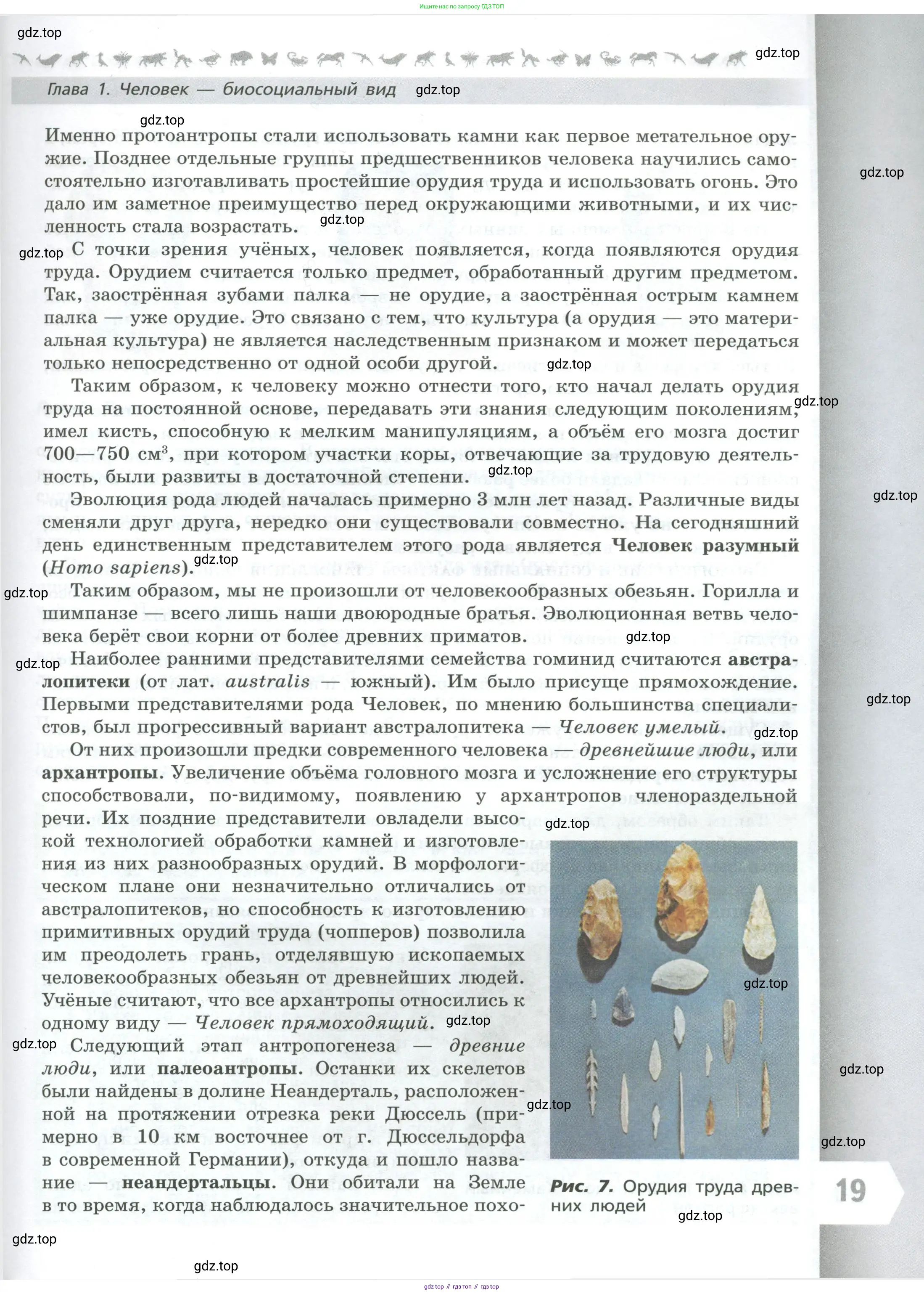 Биология, 9 класс Учебник, авторы: Пасечник Владимир Васильевич, Каменский Андрей Александрович, Швецов Глеб Геннадьевич, Гапонюк Зоя Георгиевна, издательство Просвещение, Москва, 2023, белого цвета, страница 19