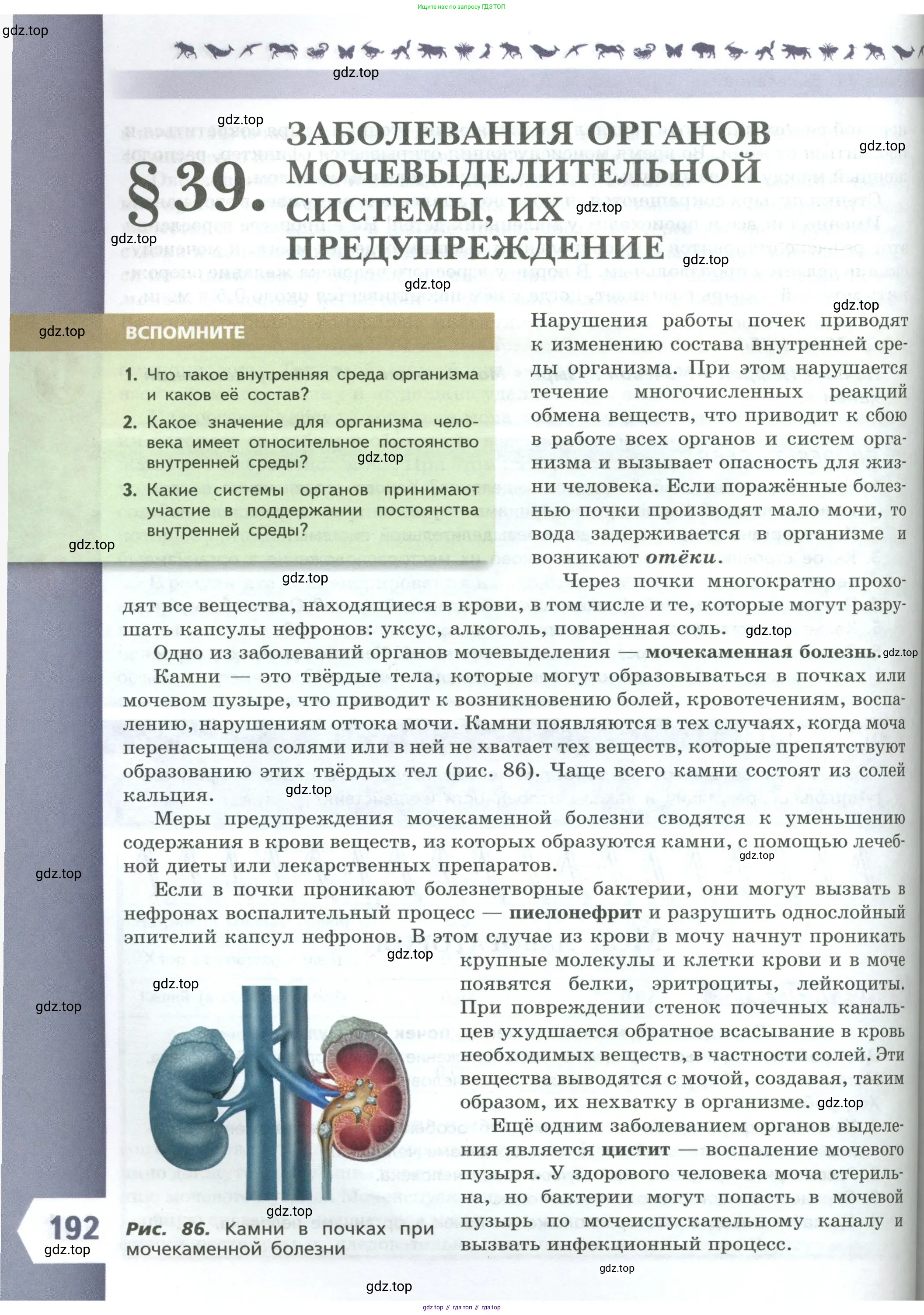 Биология, 9 класс Учебник, авторы: Пасечник Владимир Васильевич, Каменский Андрей Александрович, Швецов Глеб Геннадьевич, Гапонюк Зоя Георгиевна, издательство Просвещение, Москва, 2023, белого цвета, страница 192