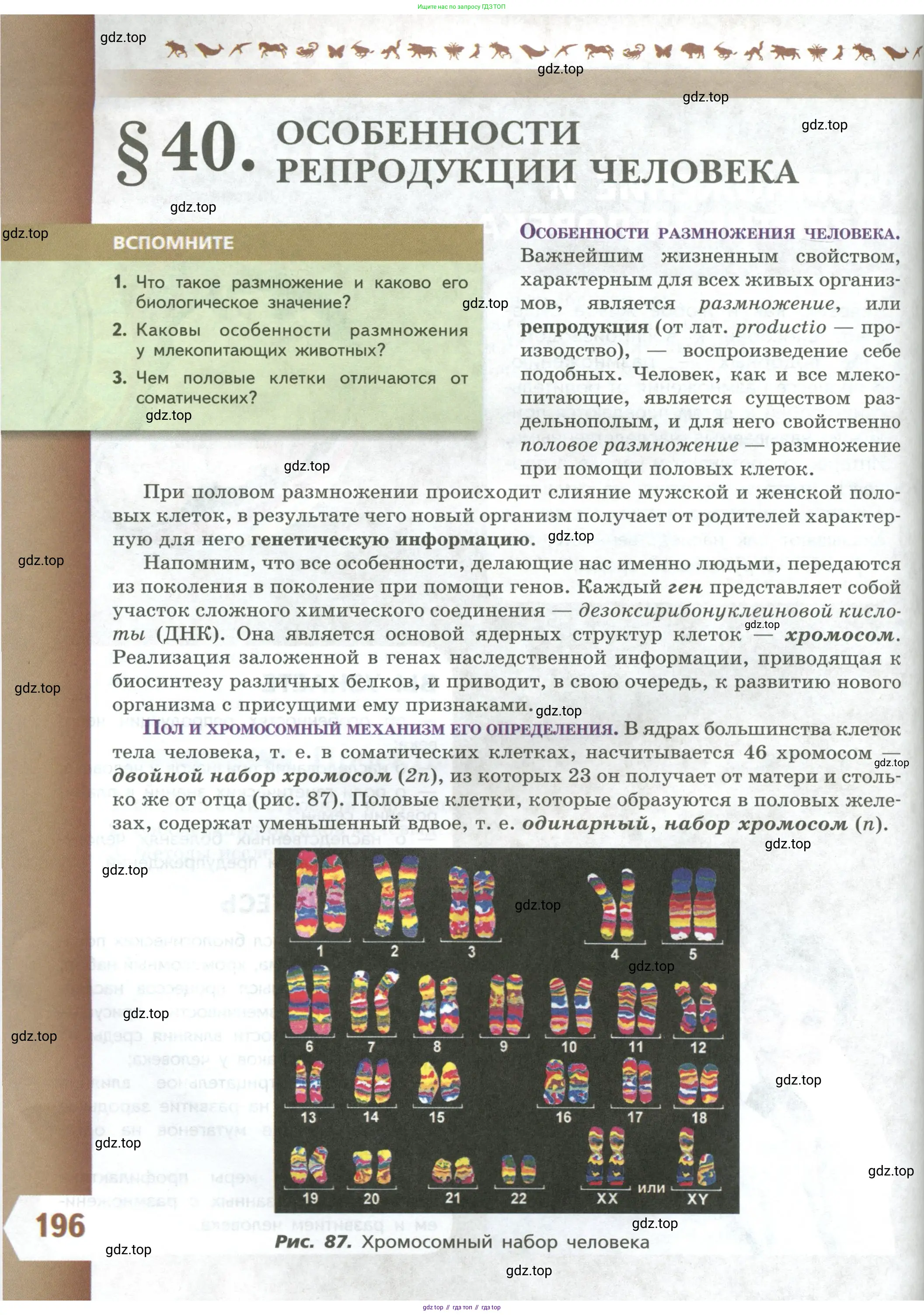 Биология, 9 класс Учебник, авторы: Пасечник Владимир Васильевич, Каменский Андрей Александрович, Швецов Глеб Геннадьевич, Гапонюк Зоя Георгиевна, издательство Просвещение, Москва, 2023, белого цвета, страница 196