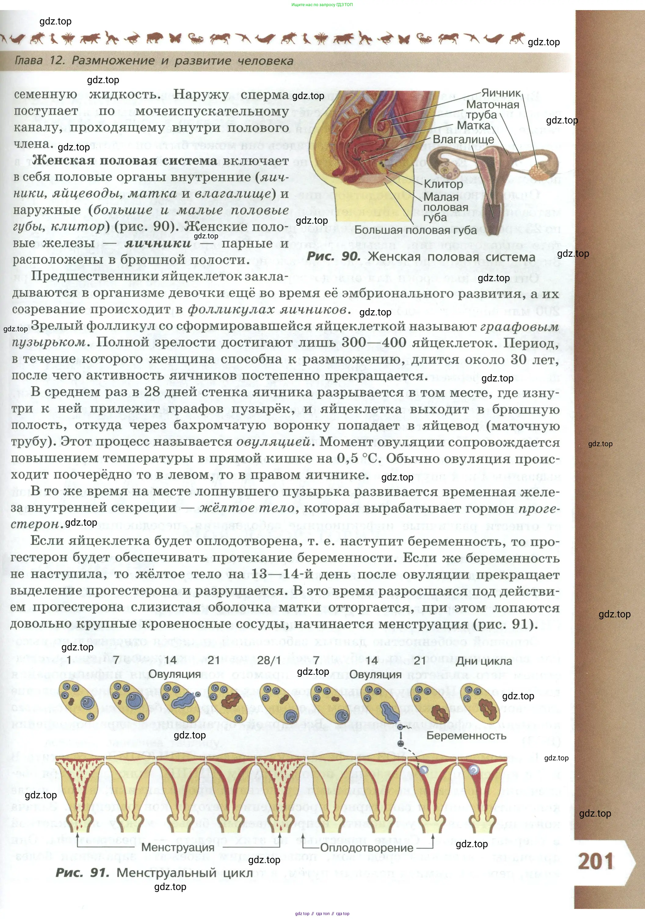 Биология, 9 класс Учебник, авторы: Пасечник Владимир Васильевич, Каменский Андрей Александрович, Швецов Глеб Геннадьевич, Гапонюк Зоя Георгиевна, издательство Просвещение, Москва, 2023, белого цвета, страница 201