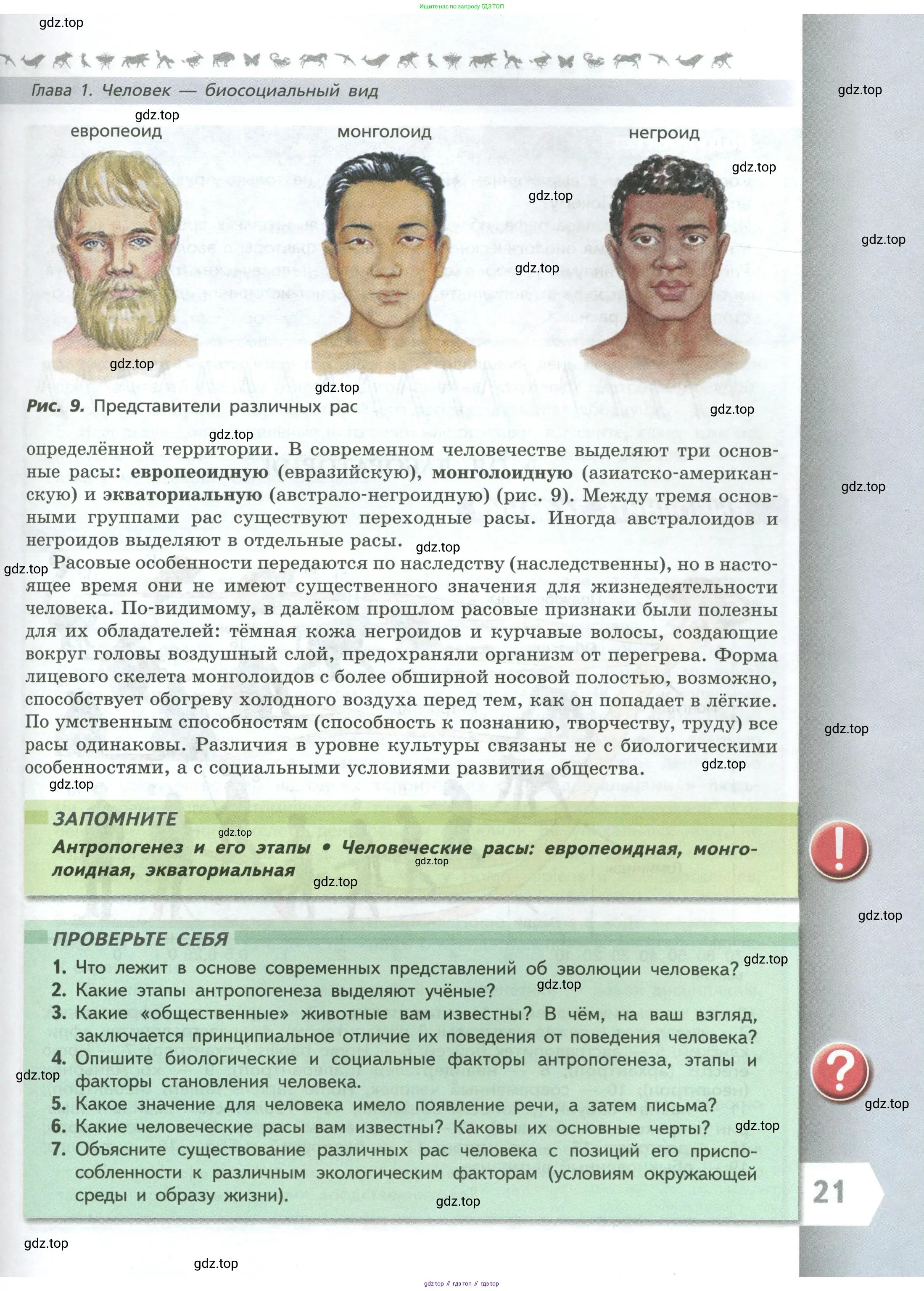 Биология, 9 класс Учебник, авторы: Пасечник Владимир Васильевич, Каменский Андрей Александрович, Швецов Глеб Геннадьевич, Гапонюк Зоя Георгиевна, издательство Просвещение, Москва, 2023, белого цвета, страница 21
