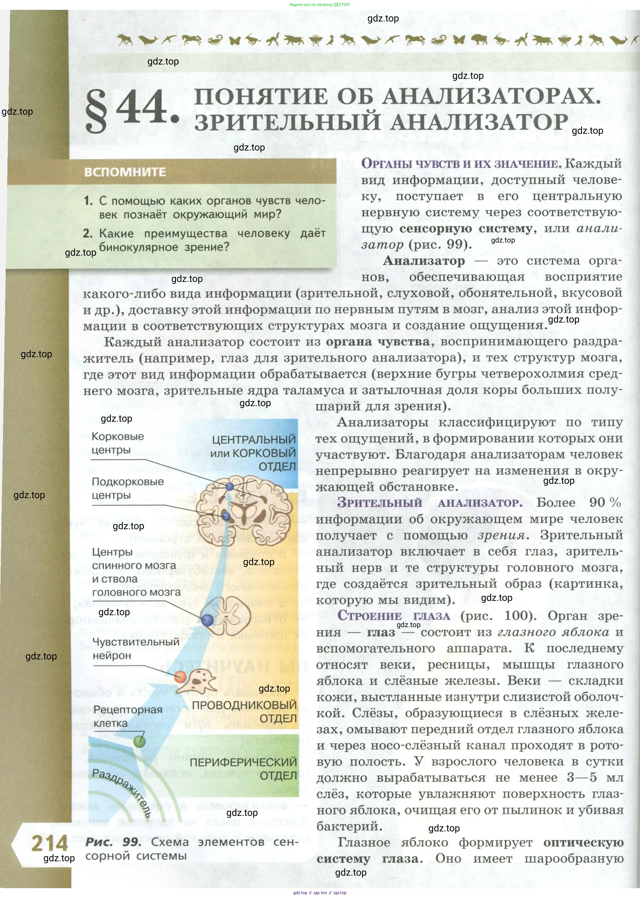 Биология, 9 класс Учебник, авторы: Пасечник Владимир Васильевич, Каменский Андрей Александрович, Швецов Глеб Геннадьевич, Гапонюк Зоя Георгиевна, издательство Просвещение, Москва, 2023, белого цвета, страница 214