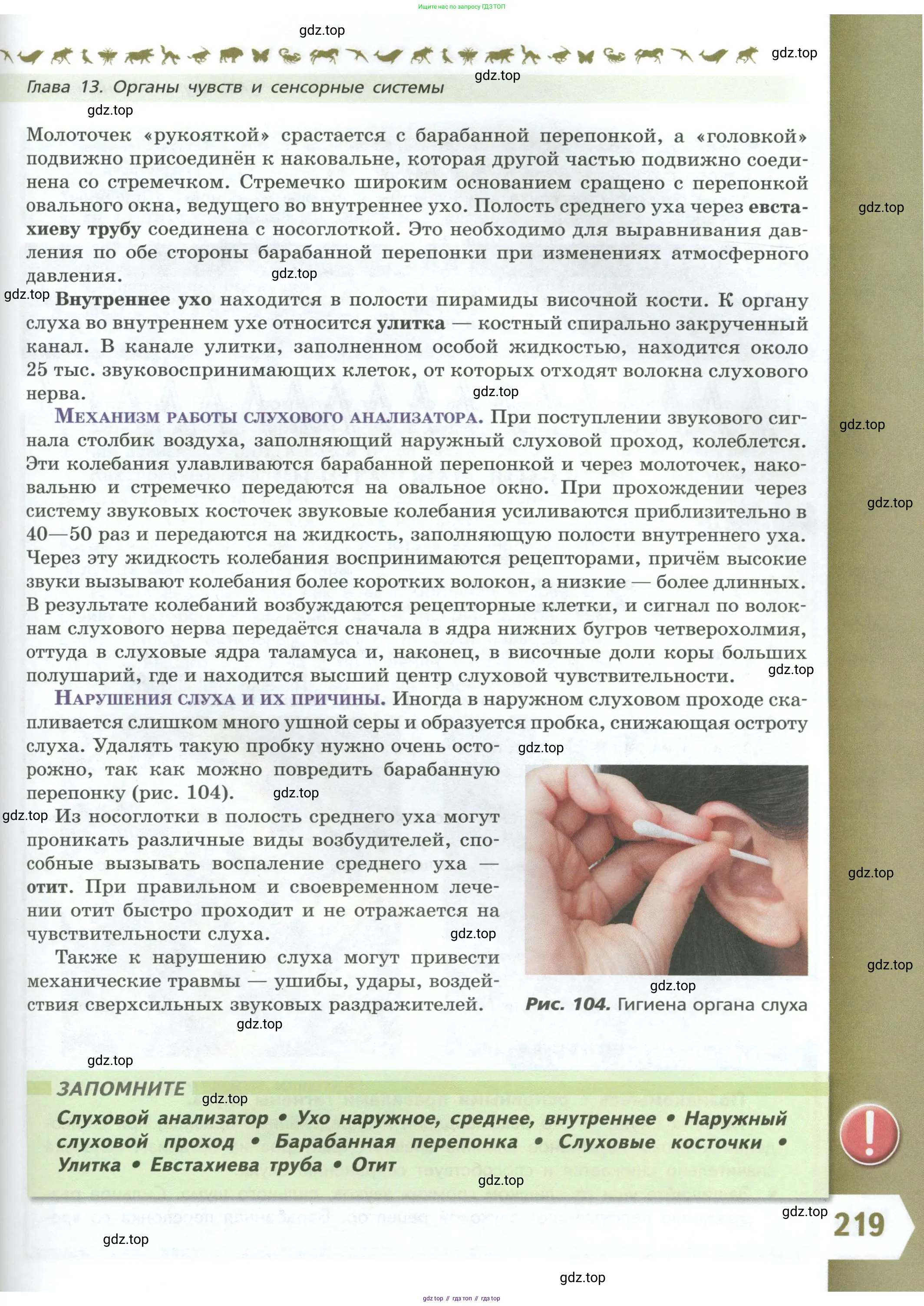 Биология, 9 класс Учебник, авторы: Пасечник Владимир Васильевич, Каменский Андрей Александрович, Швецов Глеб Геннадьевич, Гапонюк Зоя Георгиевна, издательство Просвещение, Москва, 2023, белого цвета, страница 219