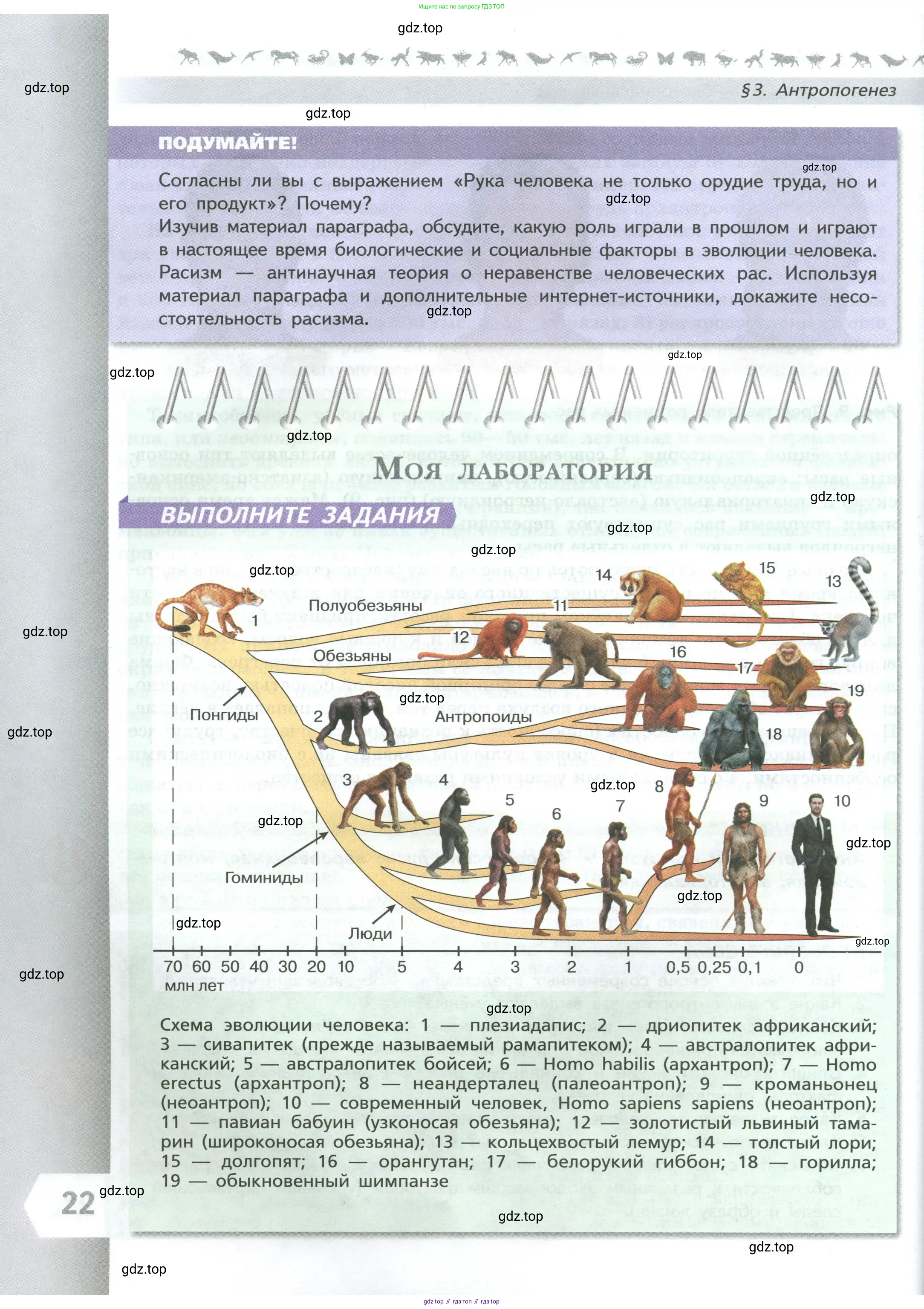 Биология, 9 класс Учебник, авторы: Пасечник Владимир Васильевич, Каменский Андрей Александрович, Швецов Глеб Геннадьевич, Гапонюк Зоя Георгиевна, издательство Просвещение, Москва, 2023, белого цвета, страница 22