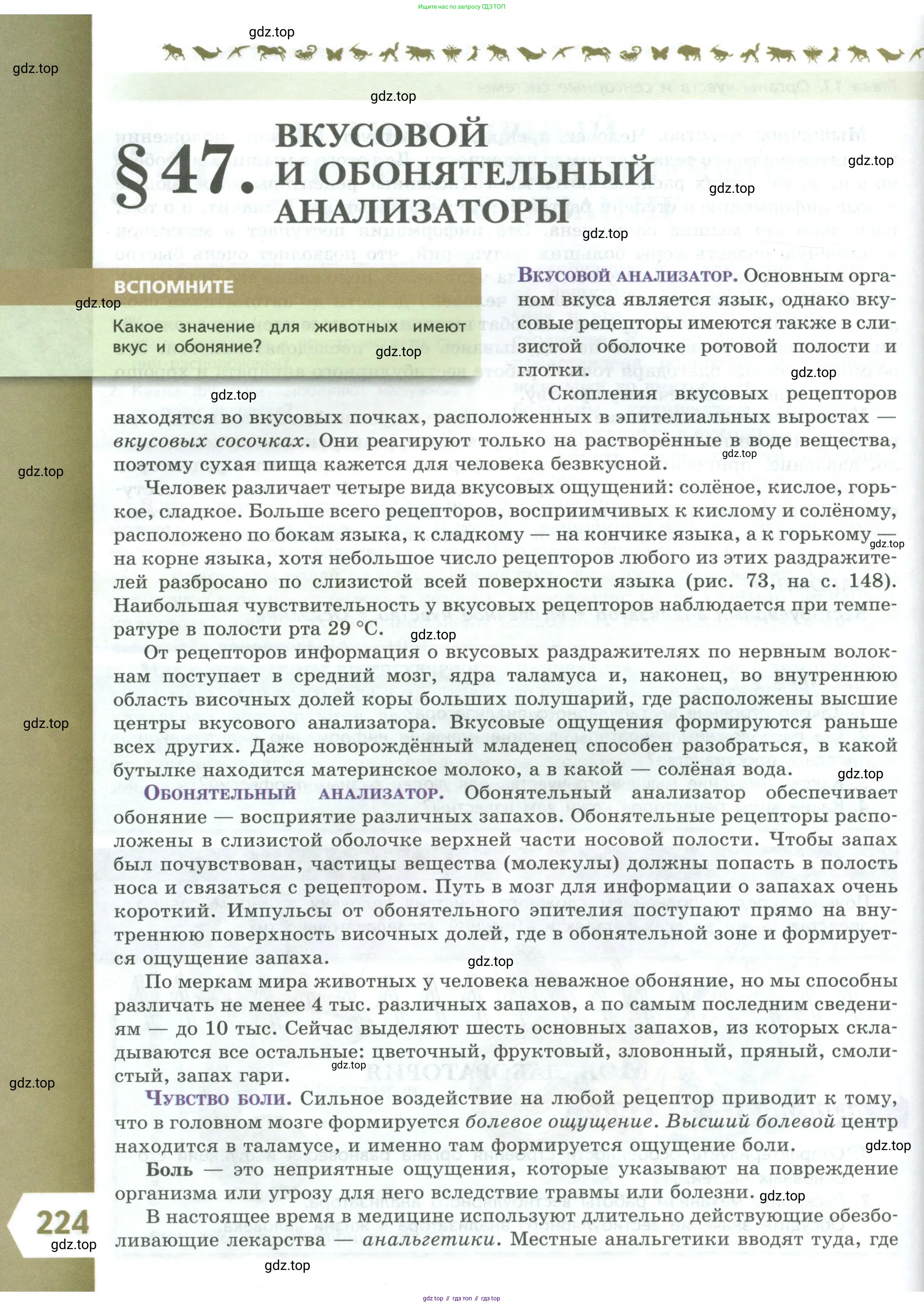 Биология, 9 класс Учебник, авторы: Пасечник Владимир Васильевич, Каменский Андрей Александрович, Швецов Глеб Геннадьевич, Гапонюк Зоя Георгиевна, издательство Просвещение, Москва, 2023, белого цвета, страница 224