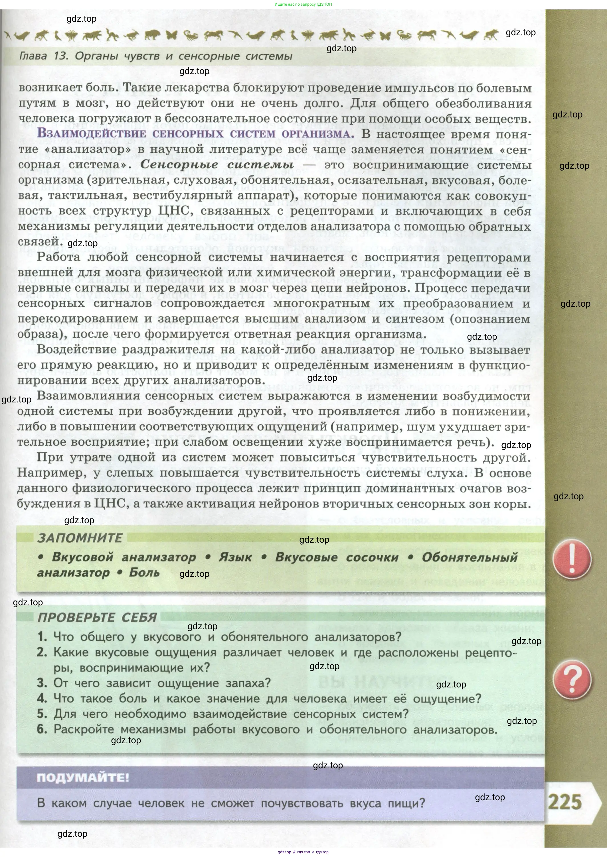 Биология, 9 класс Учебник, авторы: Пасечник Владимир Васильевич, Каменский Андрей Александрович, Швецов Глеб Геннадьевич, Гапонюк Зоя Георгиевна, издательство Просвещение, Москва, 2023, белого цвета, страница 225