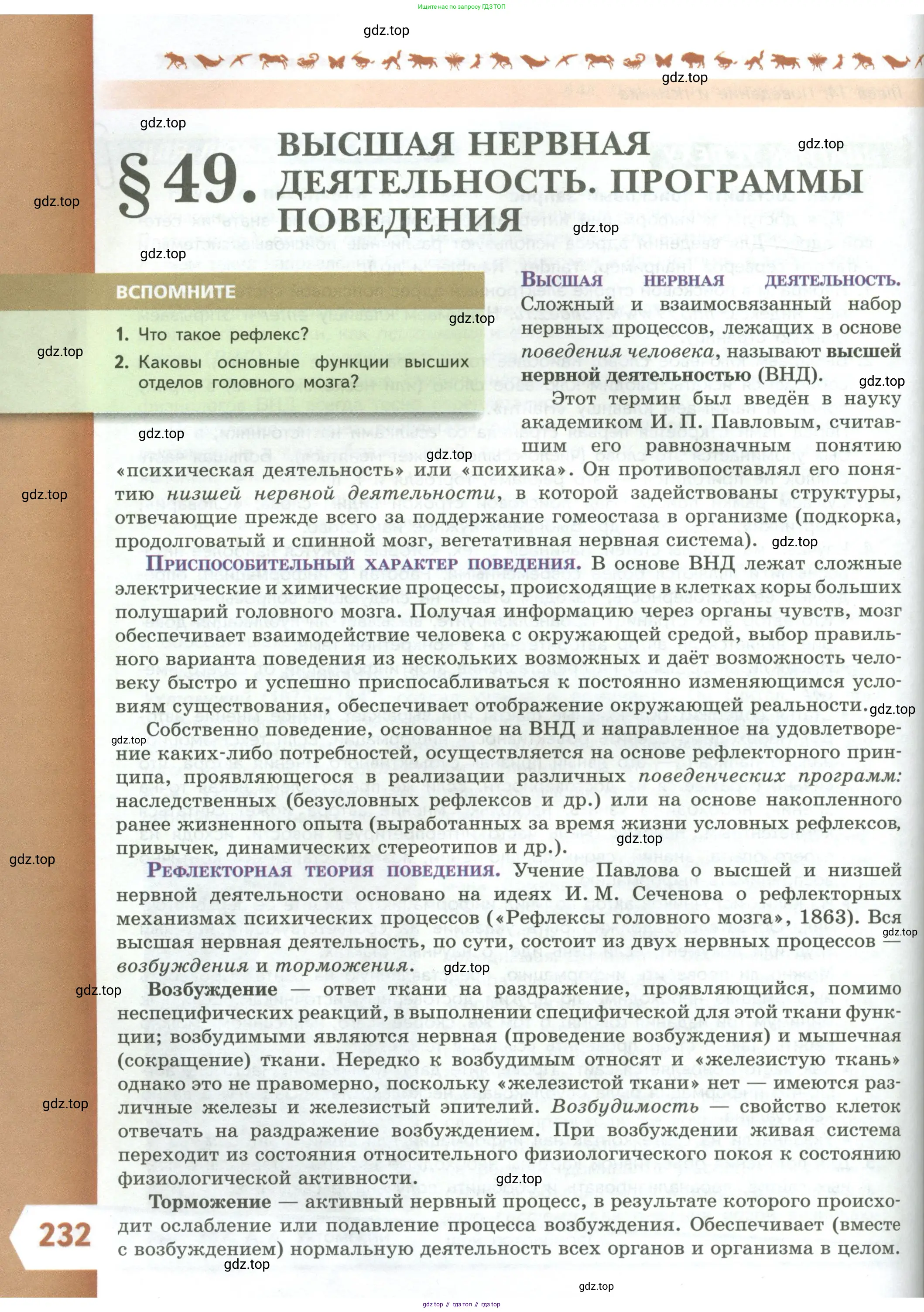 Биология, 9 класс Учебник, авторы: Пасечник Владимир Васильевич, Каменский Андрей Александрович, Швецов Глеб Геннадьевич, Гапонюк Зоя Георгиевна, издательство Просвещение, Москва, 2023, белого цвета, страница 232
