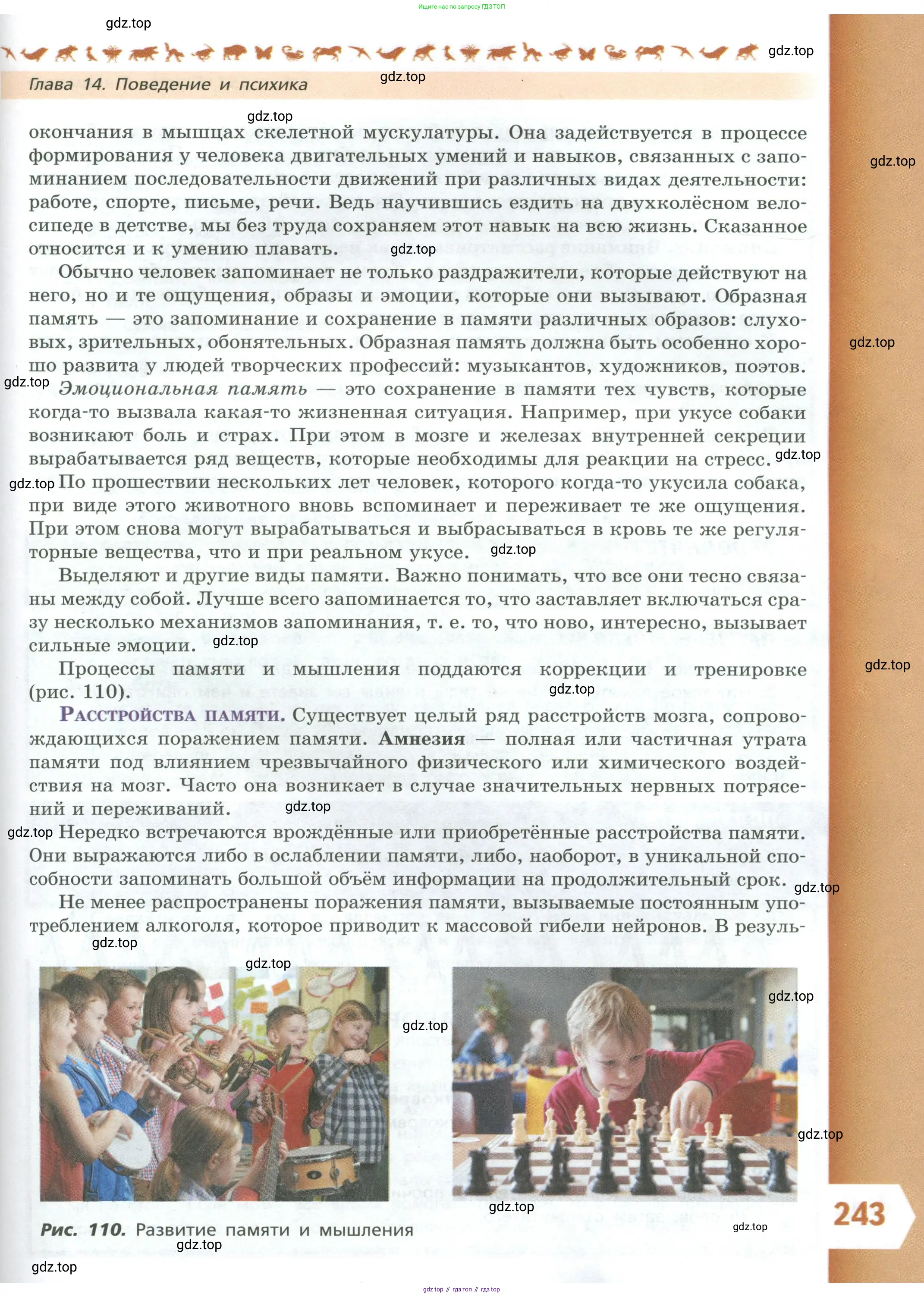 Биология, 9 класс Учебник, авторы: Пасечник Владимир Васильевич, Каменский Андрей Александрович, Швецов Глеб Геннадьевич, Гапонюк Зоя Георгиевна, издательство Просвещение, Москва, 2023, белого цвета, страница 243