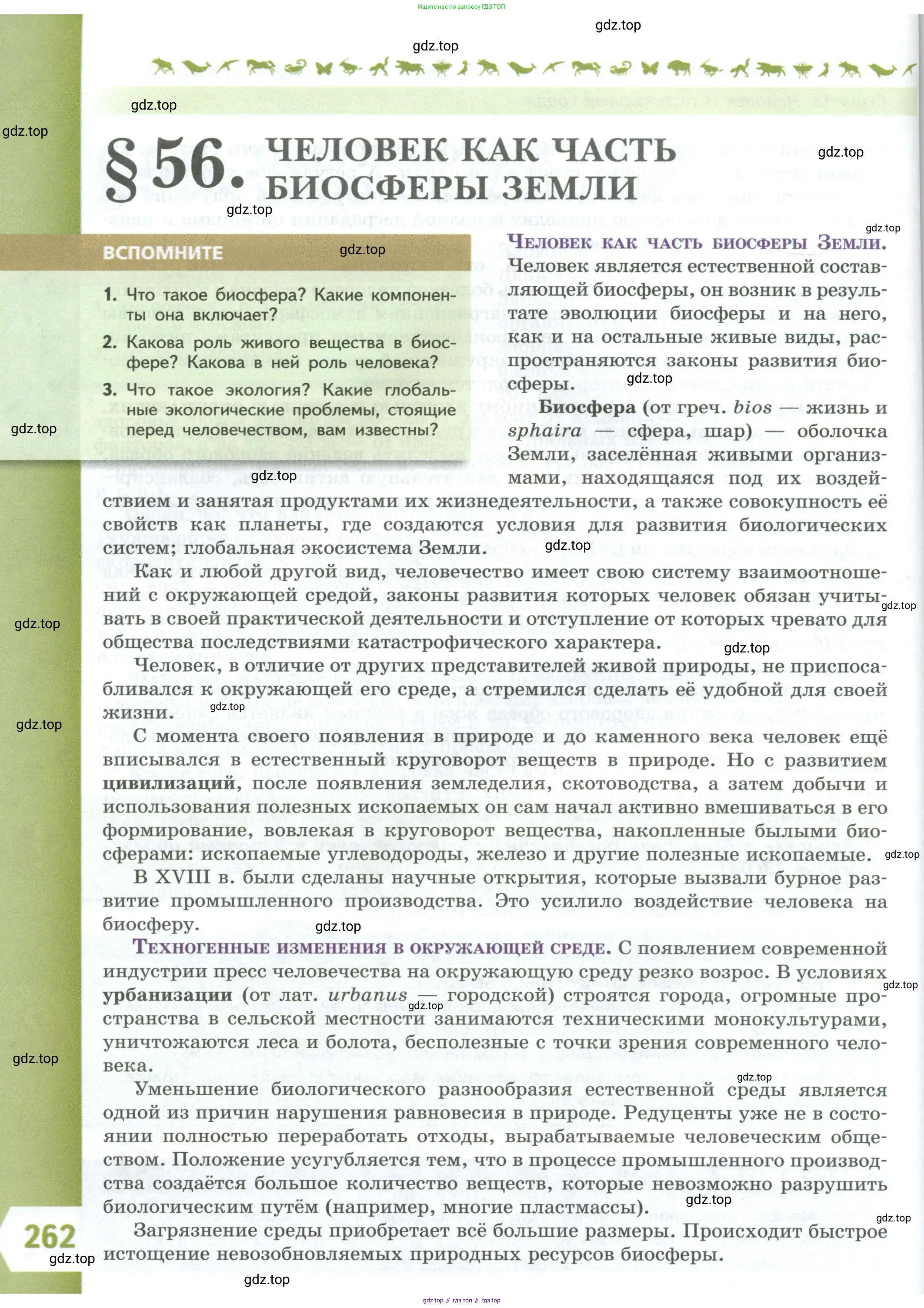 Биология, 9 класс Учебник, авторы: Пасечник Владимир Васильевич, Каменский Андрей Александрович, Швецов Глеб Геннадьевич, Гапонюк Зоя Георгиевна, издательство Просвещение, Москва, 2023, белого цвета, страница 262