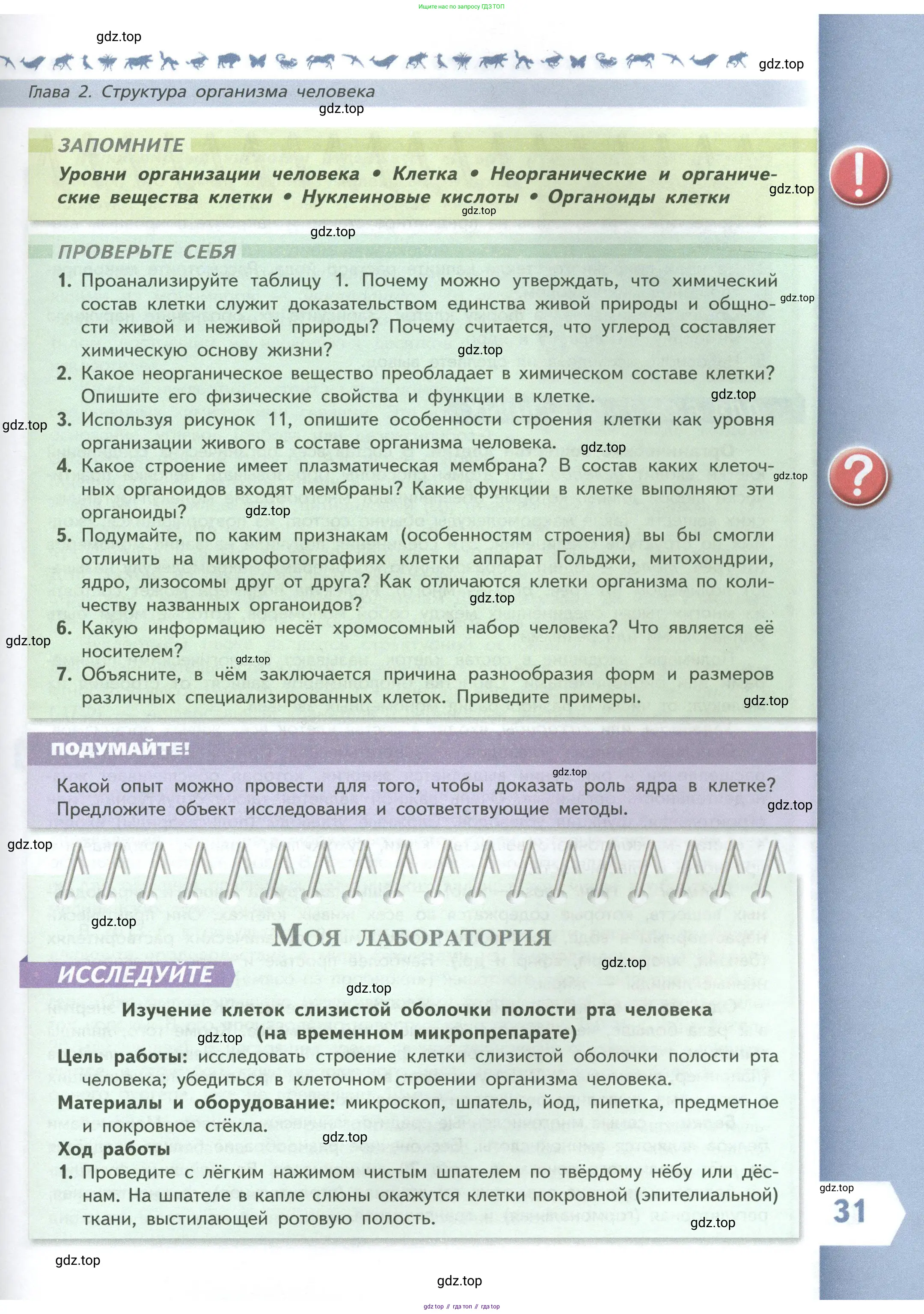 Биология, 9 класс Учебник, авторы: Пасечник Владимир Васильевич, Каменский Андрей Александрович, Швецов Глеб Геннадьевич, Гапонюк Зоя Георгиевна, издательство Просвещение, Москва, 2023, белого цвета, страница 31
