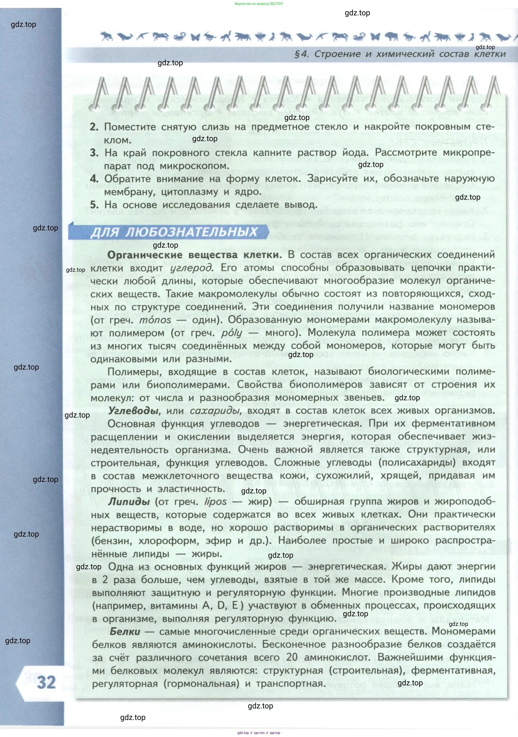 Биология, 9 класс Учебник, авторы: Пасечник Владимир Васильевич, Каменский Андрей Александрович, Швецов Глеб Геннадьевич, Гапонюк Зоя Георгиевна, издательство Просвещение, Москва, 2023, белого цвета, страница 32