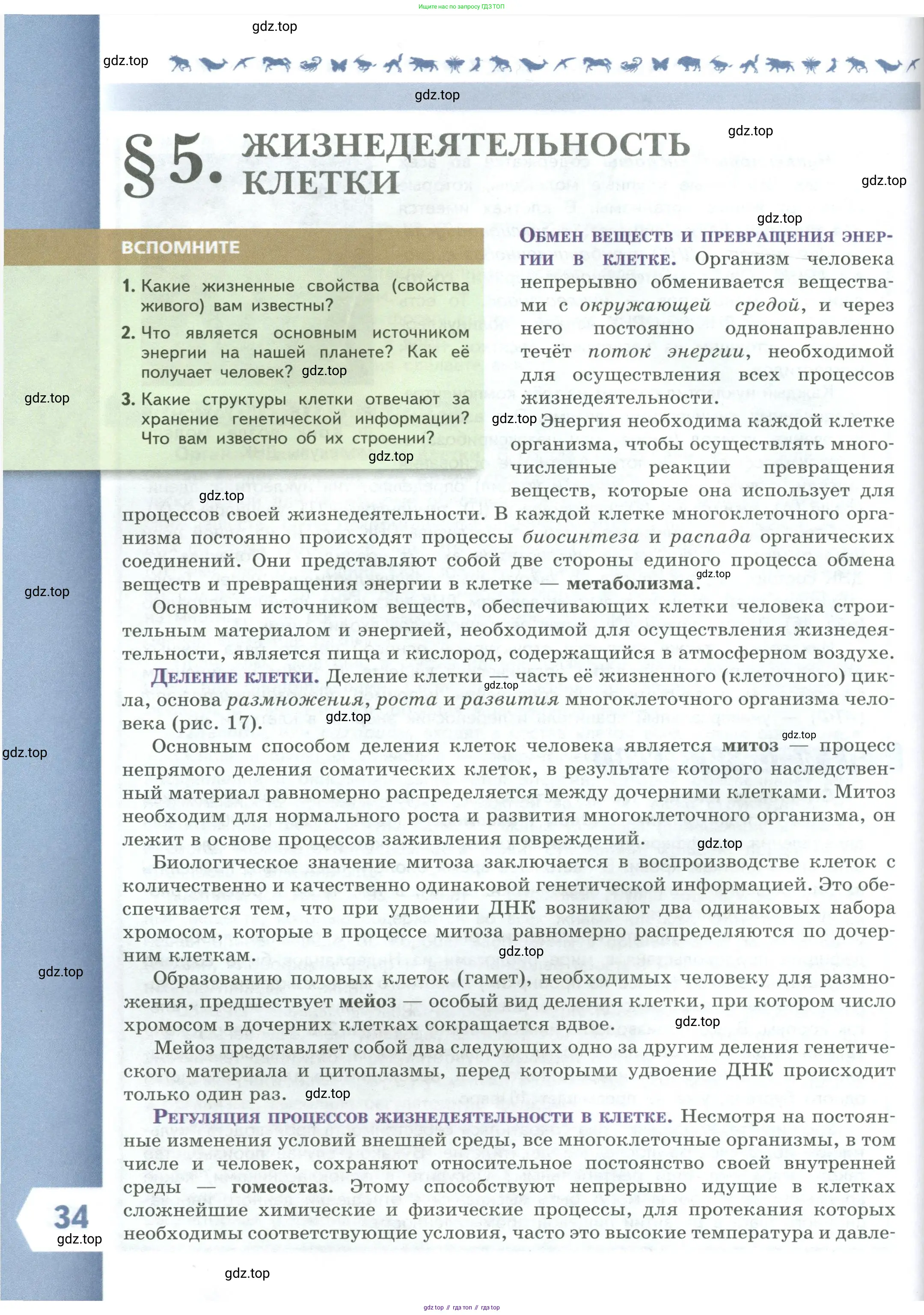 Биология, 9 класс Учебник, авторы: Пасечник Владимир Васильевич, Каменский Андрей Александрович, Швецов Глеб Геннадьевич, Гапонюк Зоя Георгиевна, издательство Просвещение, Москва, 2023, белого цвета, страница 34