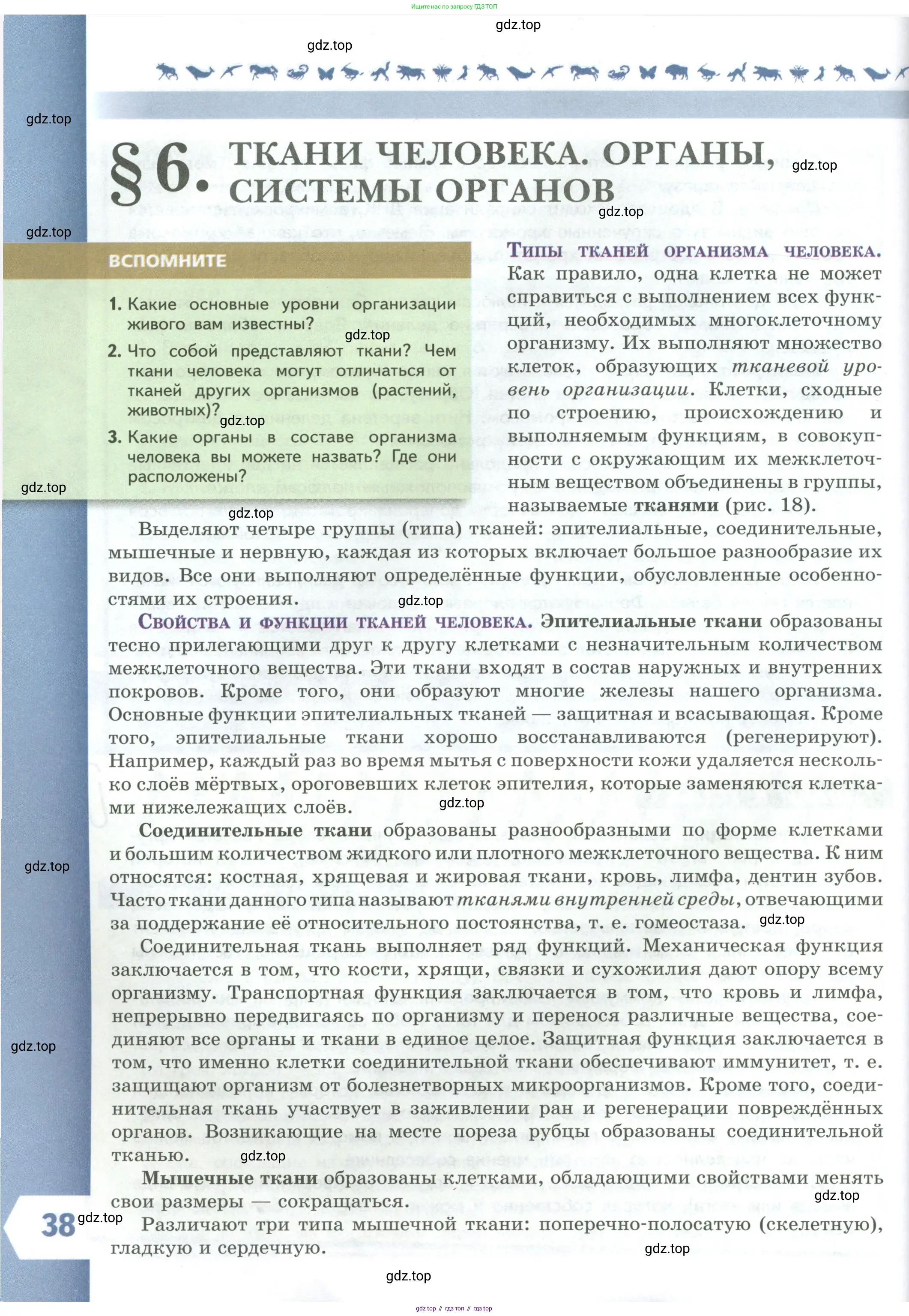 Биология, 9 класс Учебник, авторы: Пасечник Владимир Васильевич, Каменский Андрей Александрович, Швецов Глеб Геннадьевич, Гапонюк Зоя Георгиевна, издательство Просвещение, Москва, 2023, белого цвета, страница 38