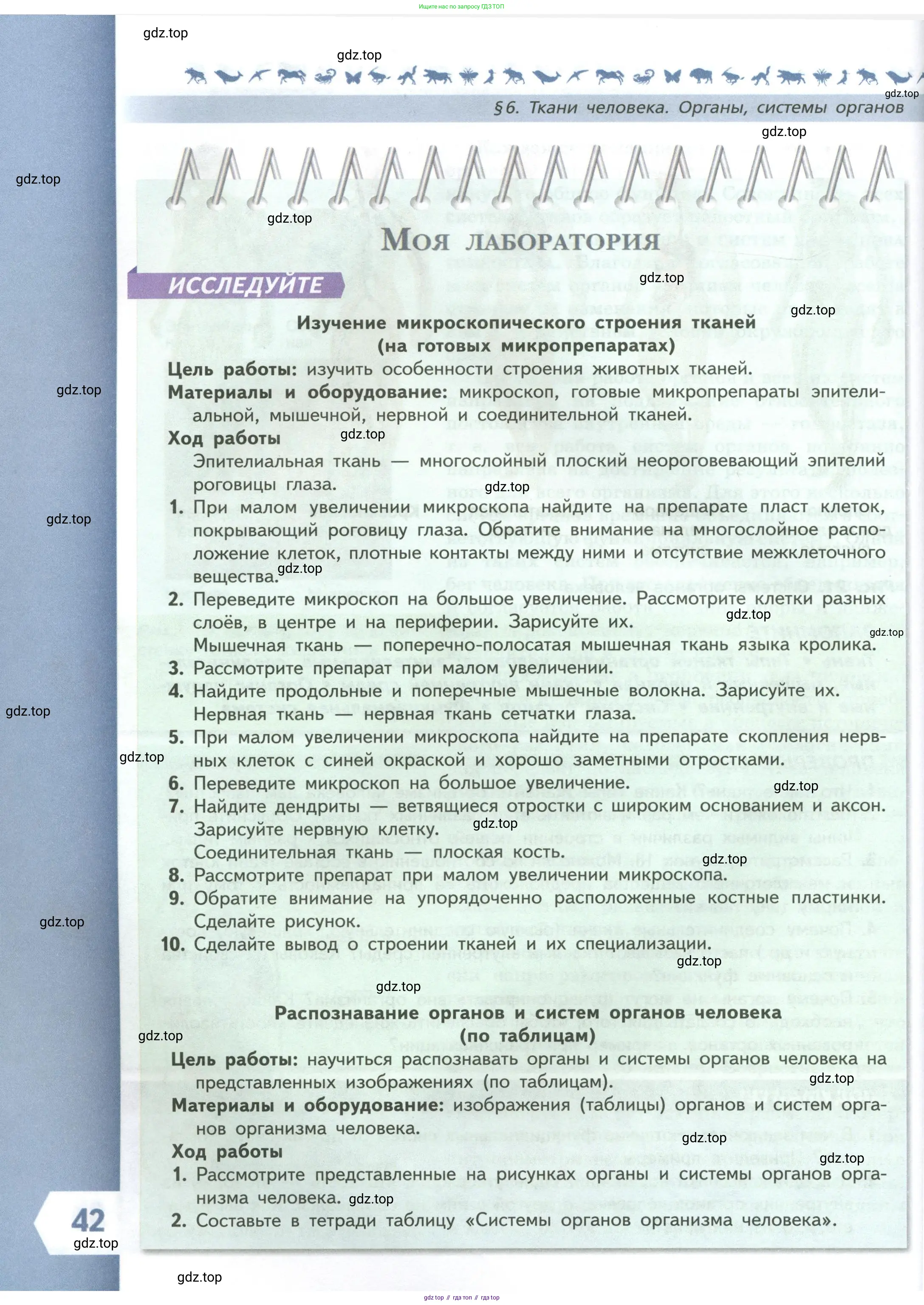 Биология, 9 класс Учебник, авторы: Пасечник Владимир Васильевич, Каменский Андрей Александрович, Швецов Глеб Геннадьевич, Гапонюк Зоя Георгиевна, издательство Просвещение, Москва, 2023, белого цвета, страница 42