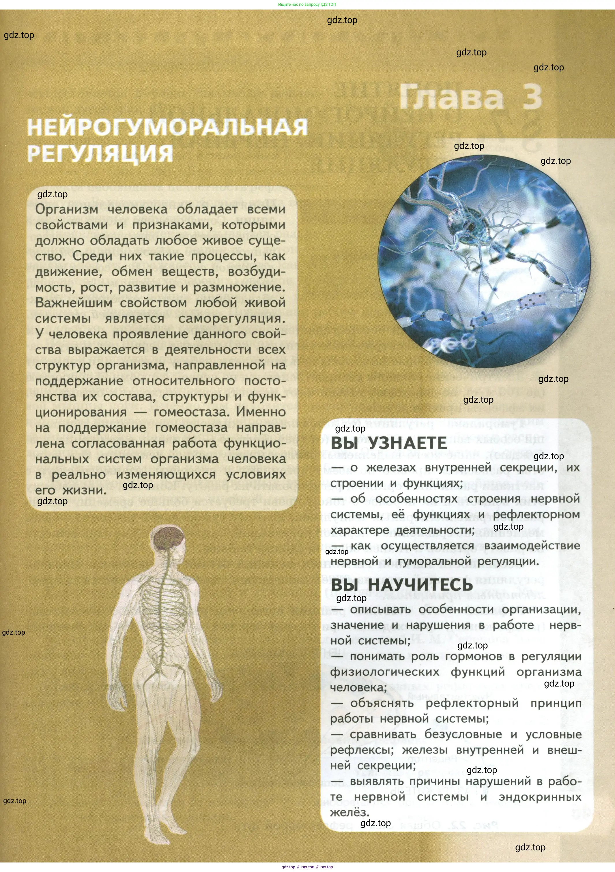Биология, 9 класс Учебник, авторы: Пасечник Владимир Васильевич, Каменский Андрей Александрович, Швецов Глеб Геннадьевич, Гапонюк Зоя Георгиевна, издательство Просвещение, Москва, 2023, белого цвета, страница 45