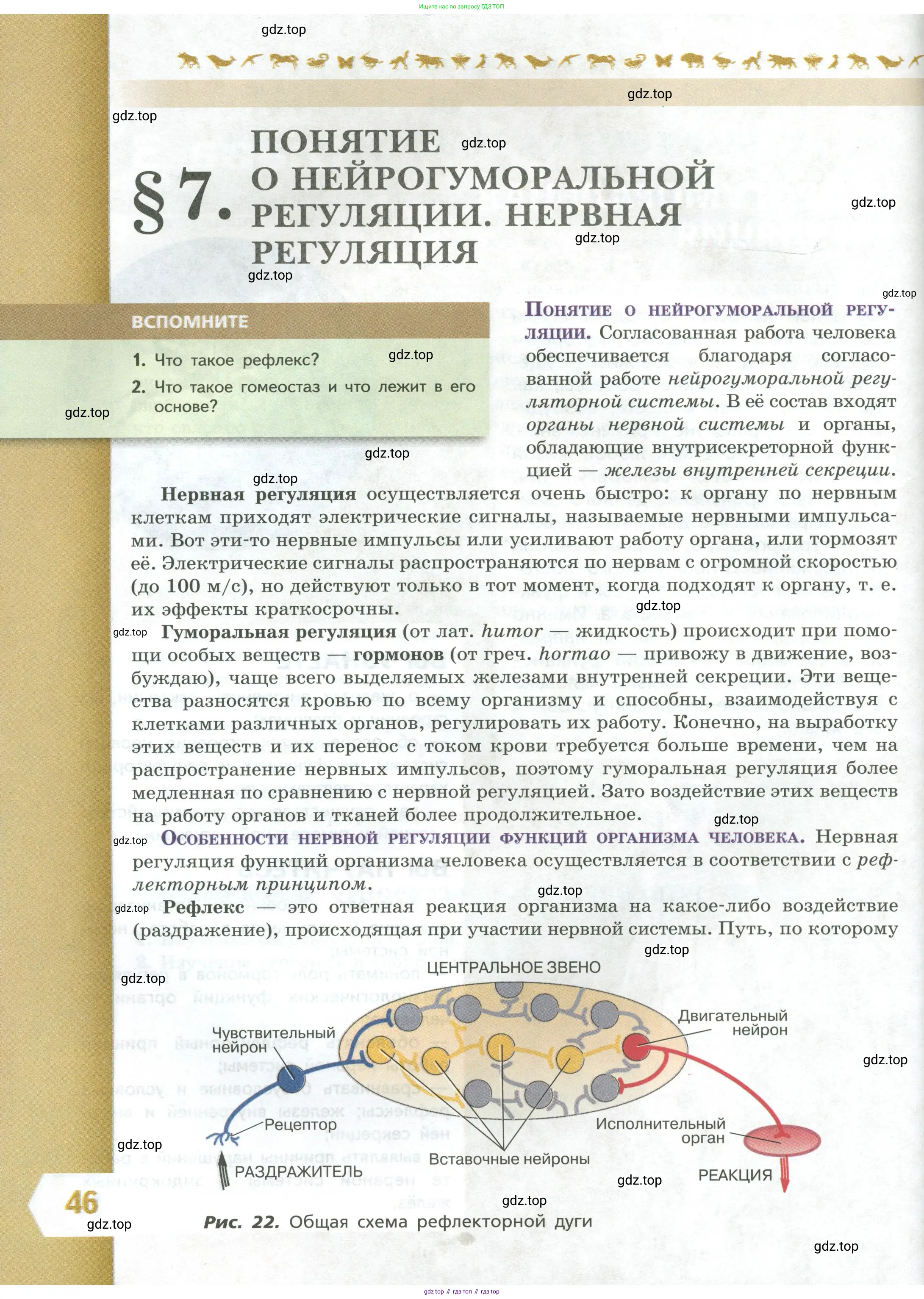 Биология, 9 класс Учебник, авторы: Пасечник Владимир Васильевич, Каменский Андрей Александрович, Швецов Глеб Геннадьевич, Гапонюк Зоя Георгиевна, издательство Просвещение, Москва, 2023, белого цвета, страница 46