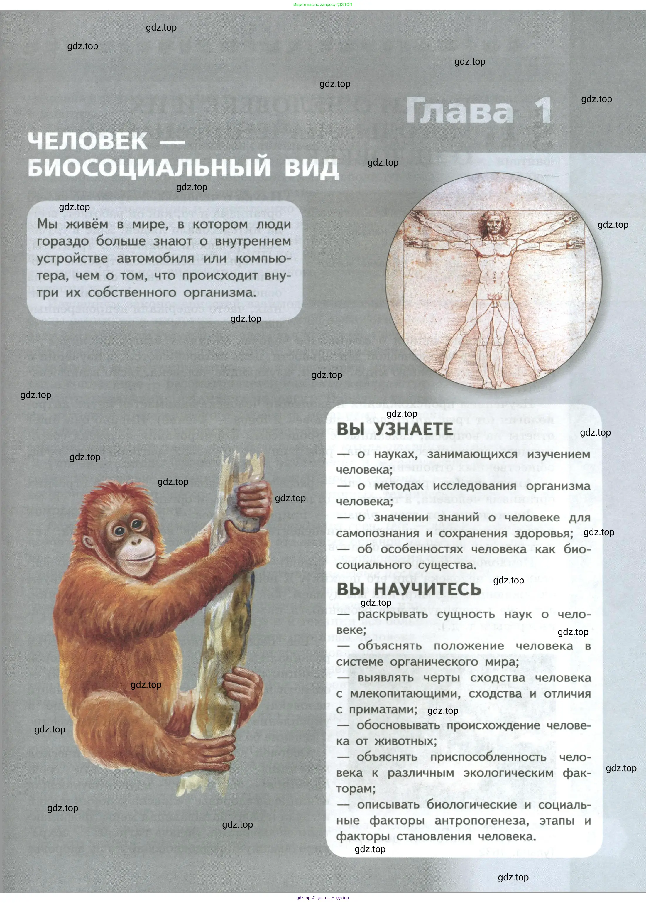 Биология, 9 класс Учебник, авторы: Пасечник Владимир Васильевич, Каменский Андрей Александрович, Швецов Глеб Геннадьевич, Гапонюк Зоя Георгиевна, издательство Просвещение, Москва, 2023, белого цвета, страница 5