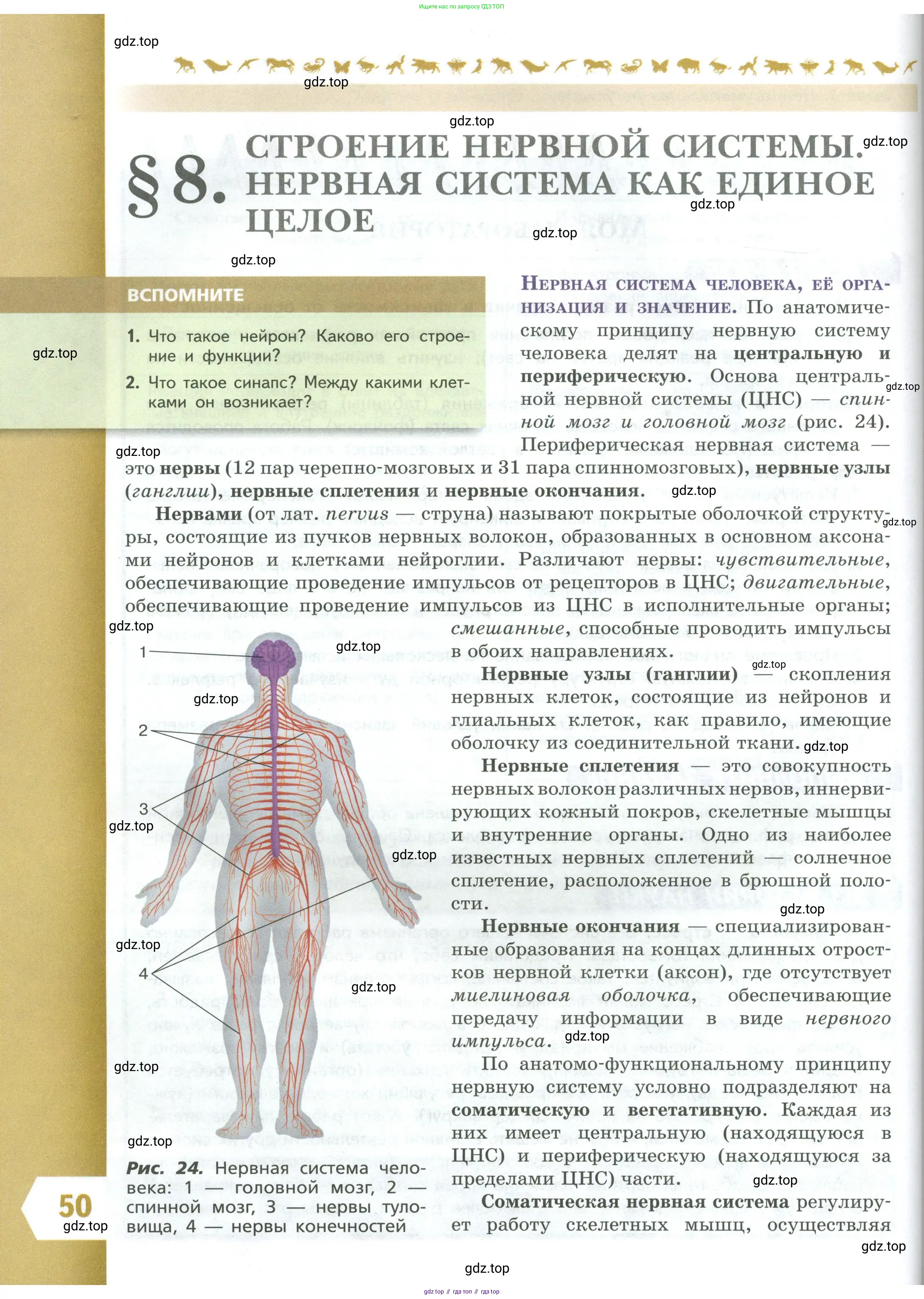 Биология, 9 класс Учебник, авторы: Пасечник Владимир Васильевич, Каменский Андрей Александрович, Швецов Глеб Геннадьевич, Гапонюк Зоя Георгиевна, издательство Просвещение, Москва, 2023, белого цвета, страница 50