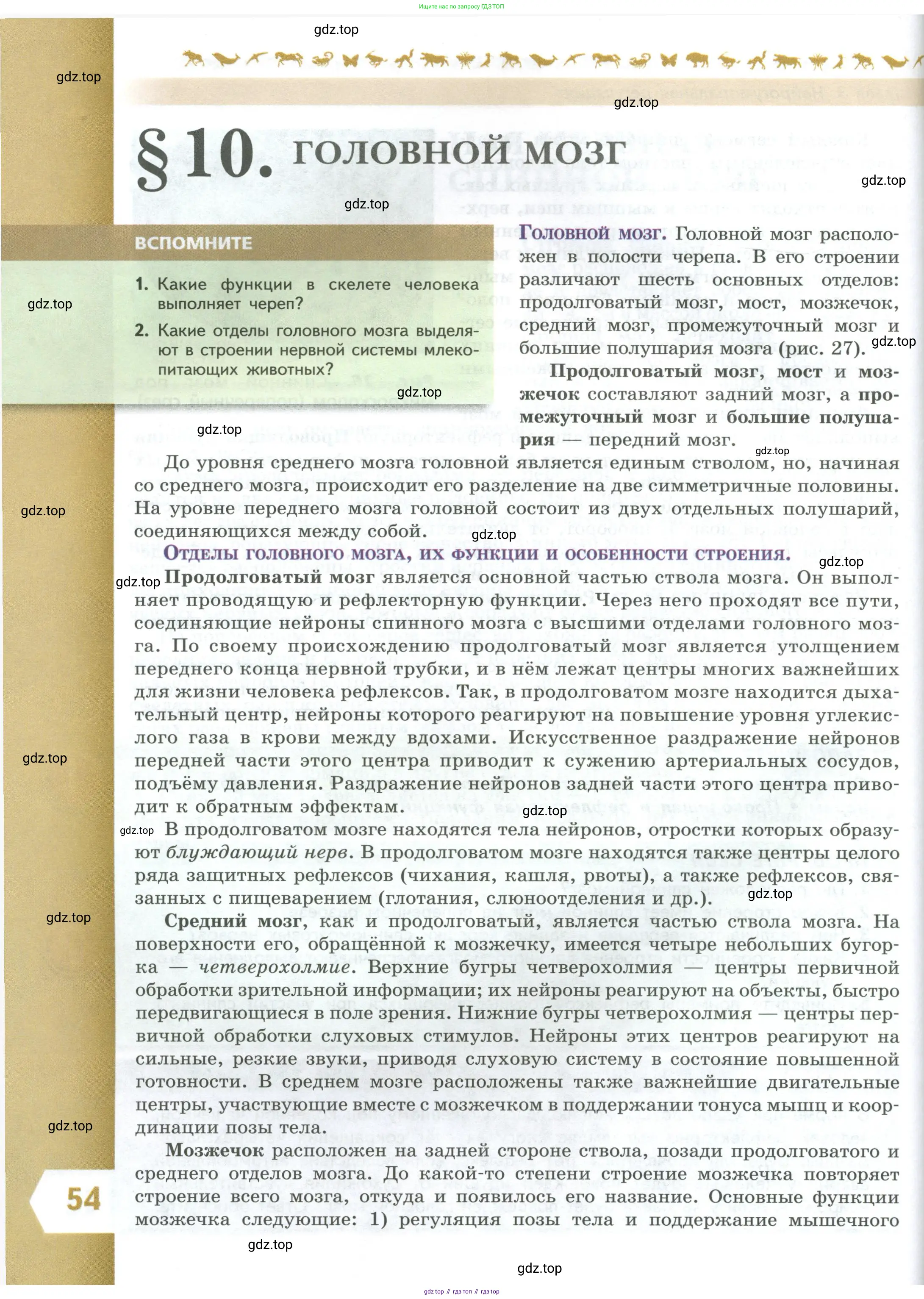 Биология, 9 класс Учебник, авторы: Пасечник Владимир Васильевич, Каменский Андрей Александрович, Швецов Глеб Геннадьевич, Гапонюк Зоя Георгиевна, издательство Просвещение, Москва, 2023, белого цвета, страница 54