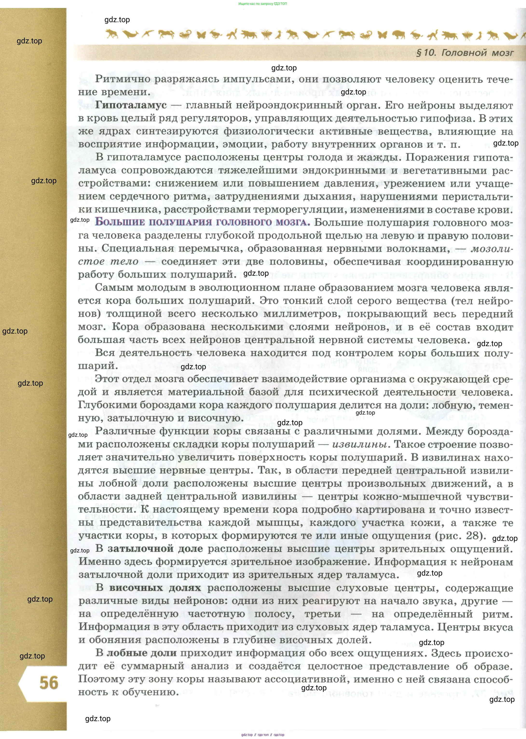 Биология, 9 класс Учебник, авторы: Пасечник Владимир Васильевич, Каменский Андрей Александрович, Швецов Глеб Геннадьевич, Гапонюк Зоя Георгиевна, издательство Просвещение, Москва, 2023, белого цвета, страница 56
