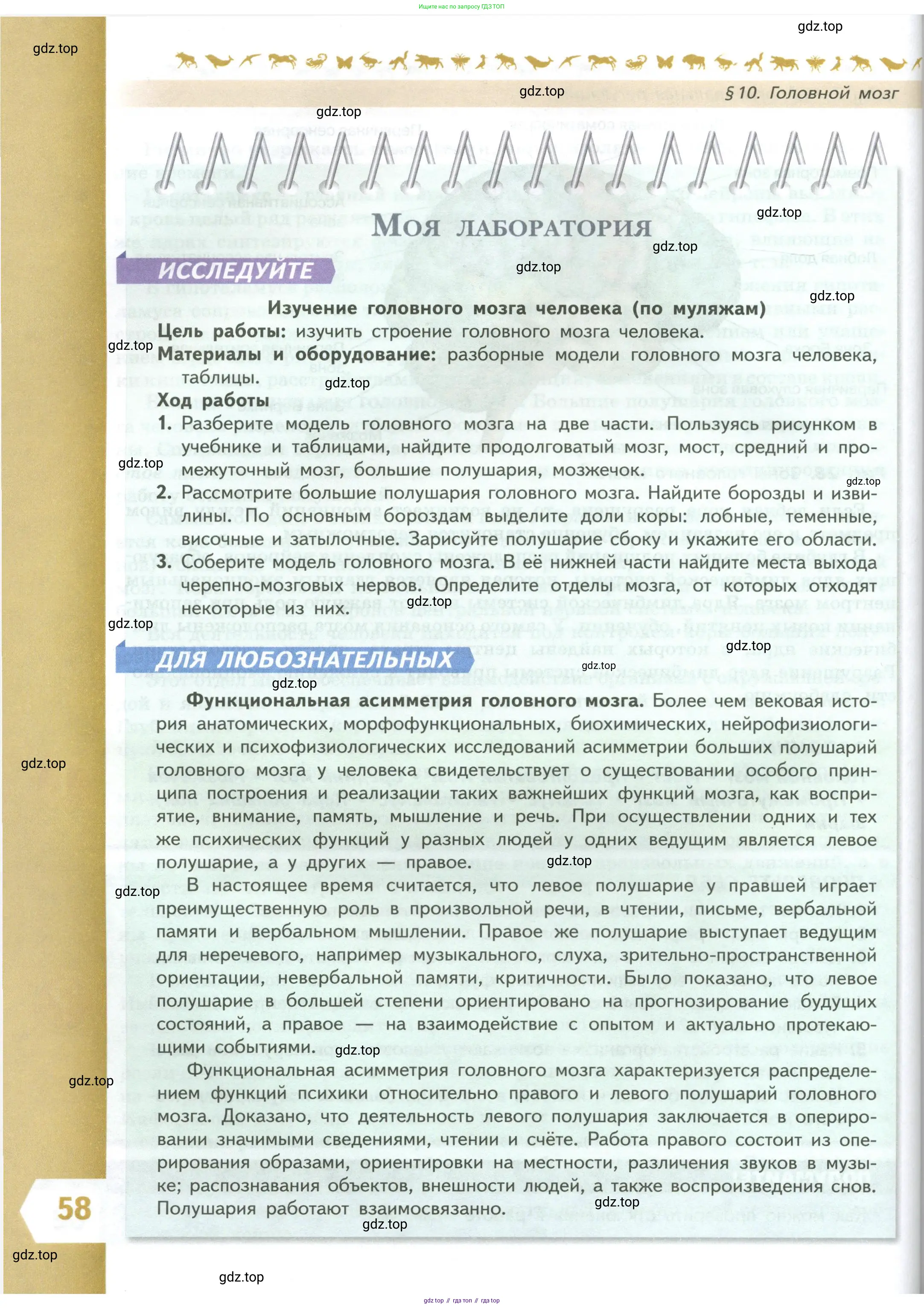 Биология, 9 класс Учебник, авторы: Пасечник Владимир Васильевич, Каменский Андрей Александрович, Швецов Глеб Геннадьевич, Гапонюк Зоя Георгиевна, издательство Просвещение, Москва, 2023, белого цвета, страница 58