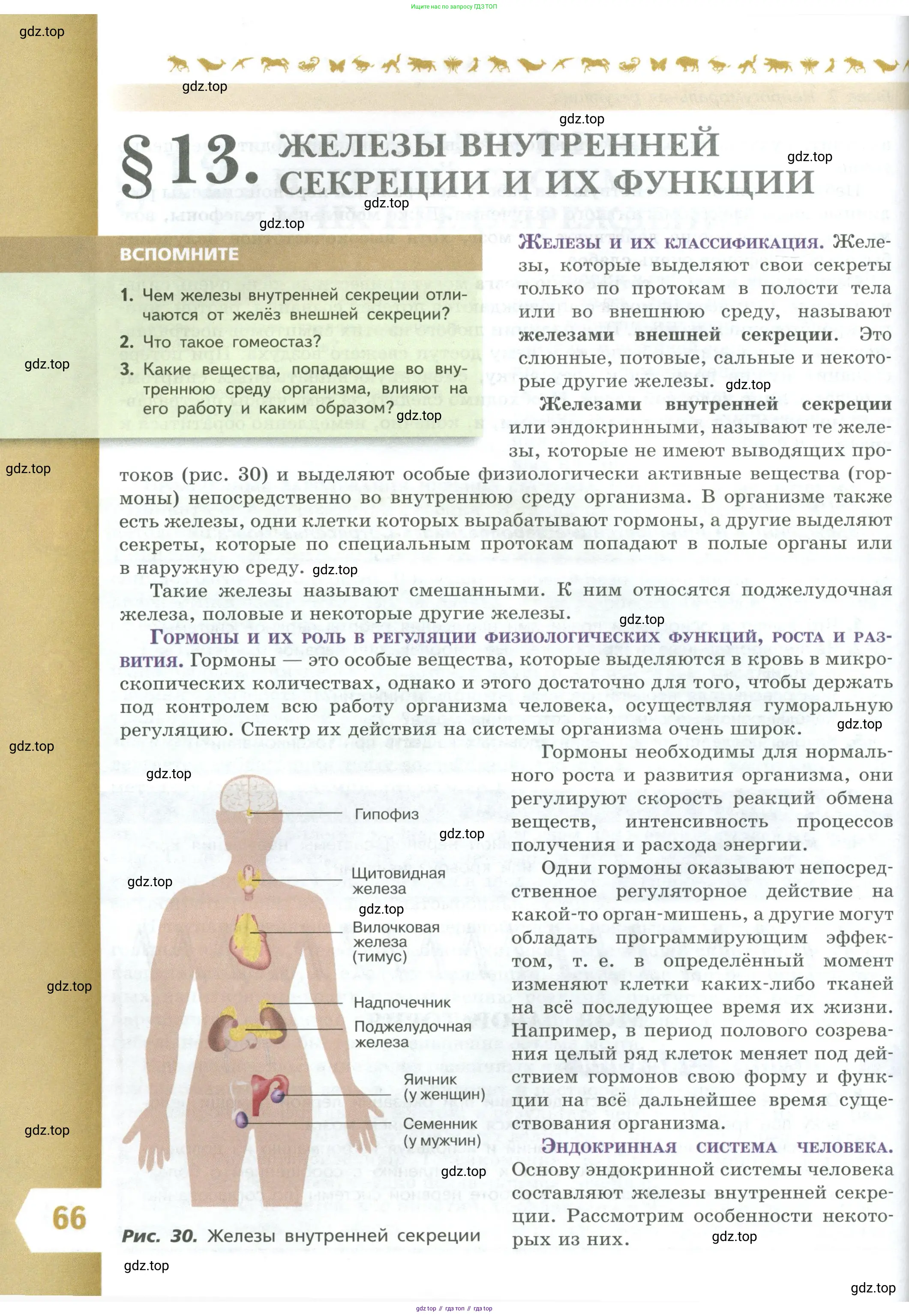 Биология, 9 класс Учебник, авторы: Пасечник Владимир Васильевич, Каменский Андрей Александрович, Швецов Глеб Геннадьевич, Гапонюк Зоя Георгиевна, издательство Просвещение, Москва, 2023, белого цвета, страница 66