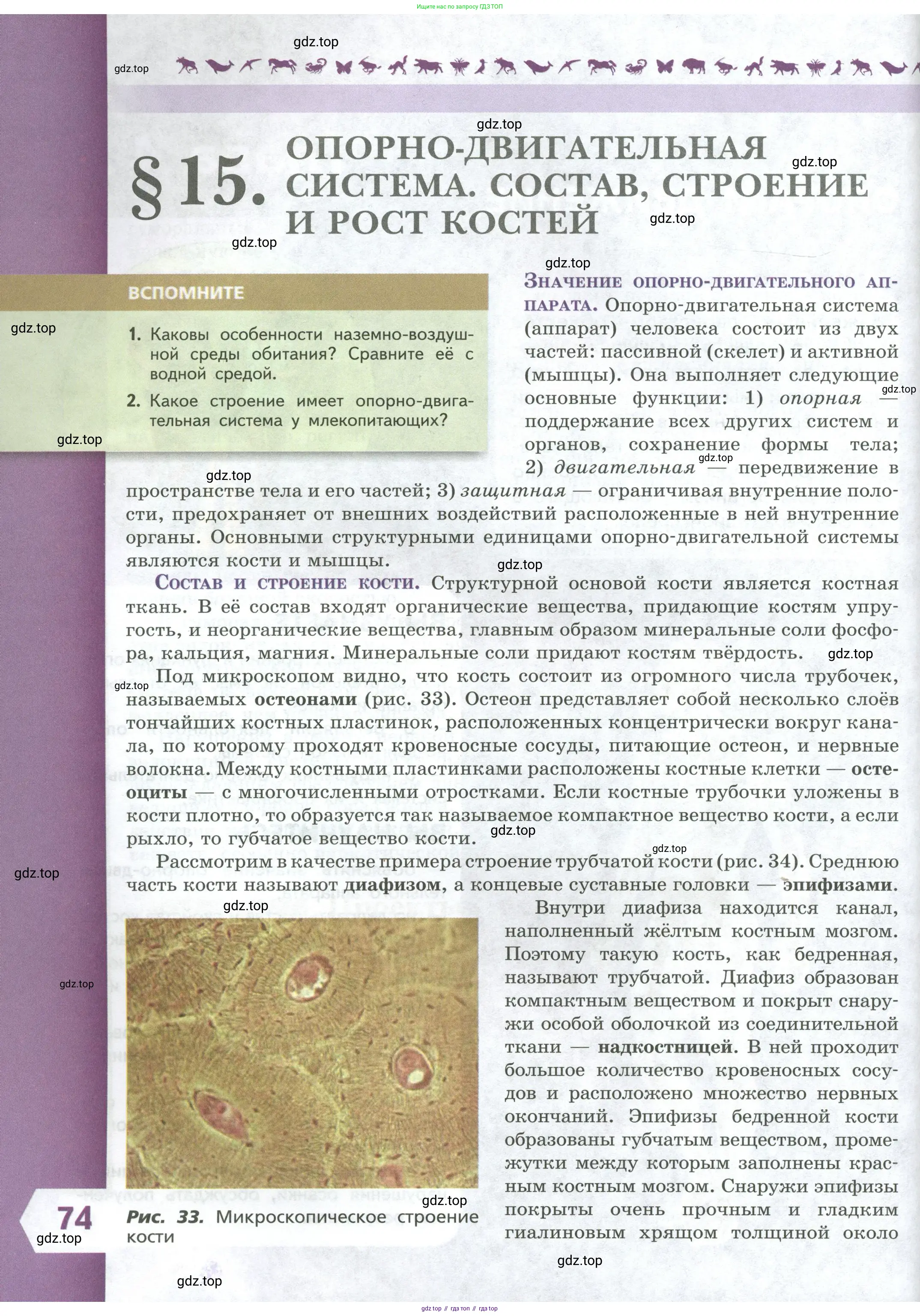 Биология, 9 класс Учебник, авторы: Пасечник Владимир Васильевич, Каменский Андрей Александрович, Швецов Глеб Геннадьевич, Гапонюк Зоя Георгиевна, издательство Просвещение, Москва, 2023, белого цвета, страница 74