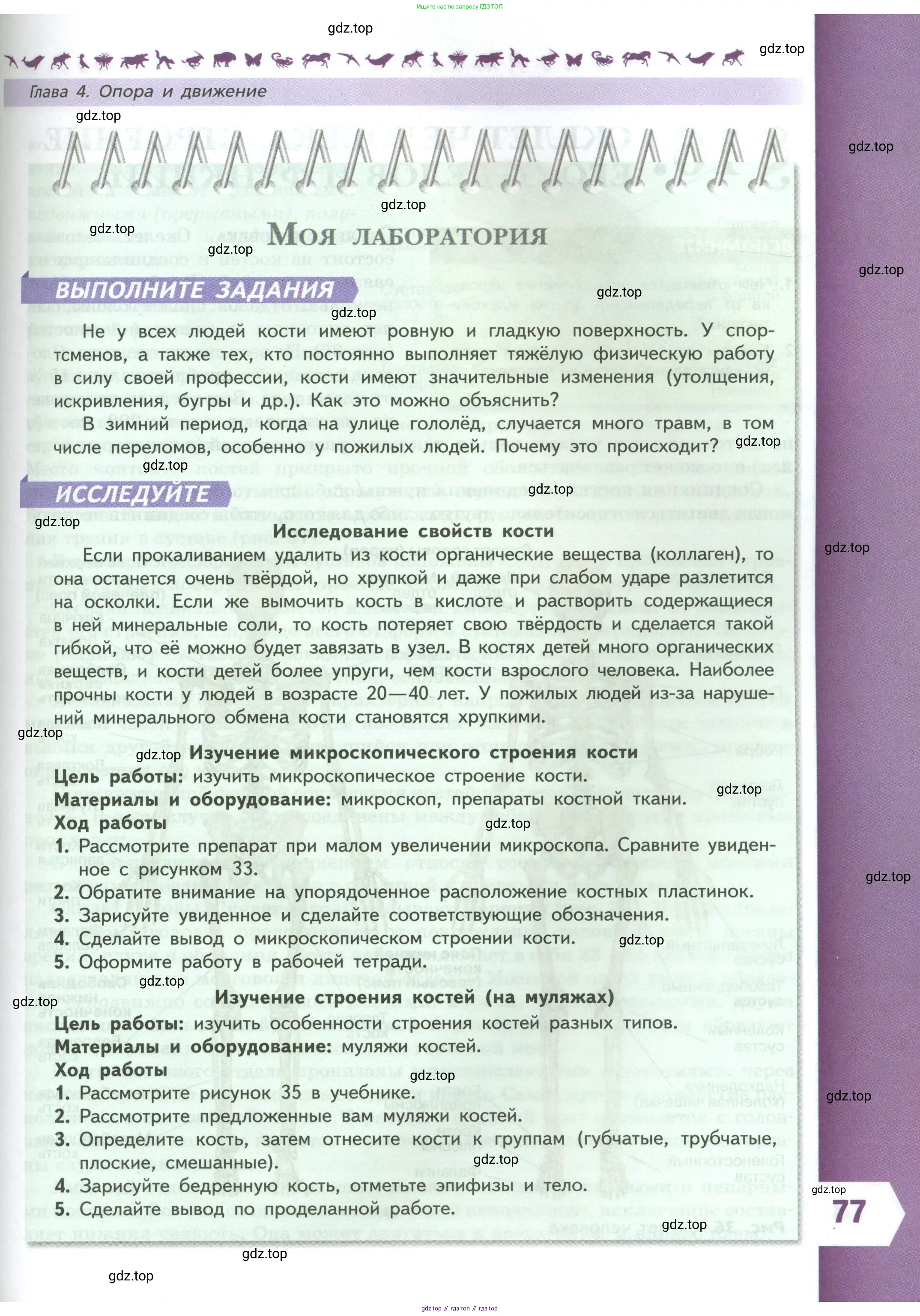 Биология, 9 класс Учебник, авторы: Пасечник Владимир Васильевич, Каменский Андрей Александрович, Швецов Глеб Геннадьевич, Гапонюк Зоя Георгиевна, издательство Просвещение, Москва, 2023, белого цвета, страница 77