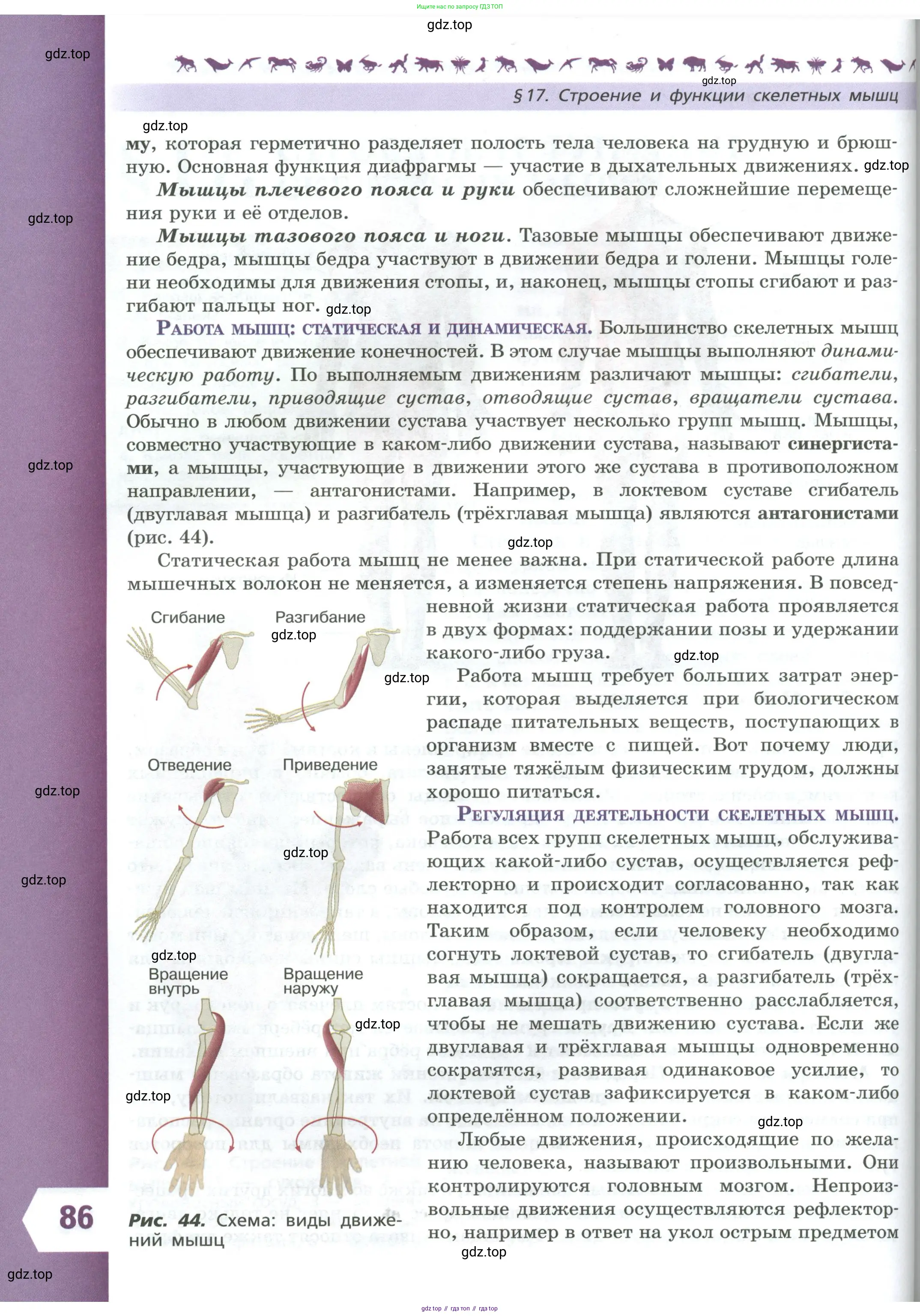 Биология, 9 класс Учебник, авторы: Пасечник Владимир Васильевич, Каменский Андрей Александрович, Швецов Глеб Геннадьевич, Гапонюк Зоя Георгиевна, издательство Просвещение, Москва, 2023, белого цвета, страница 86