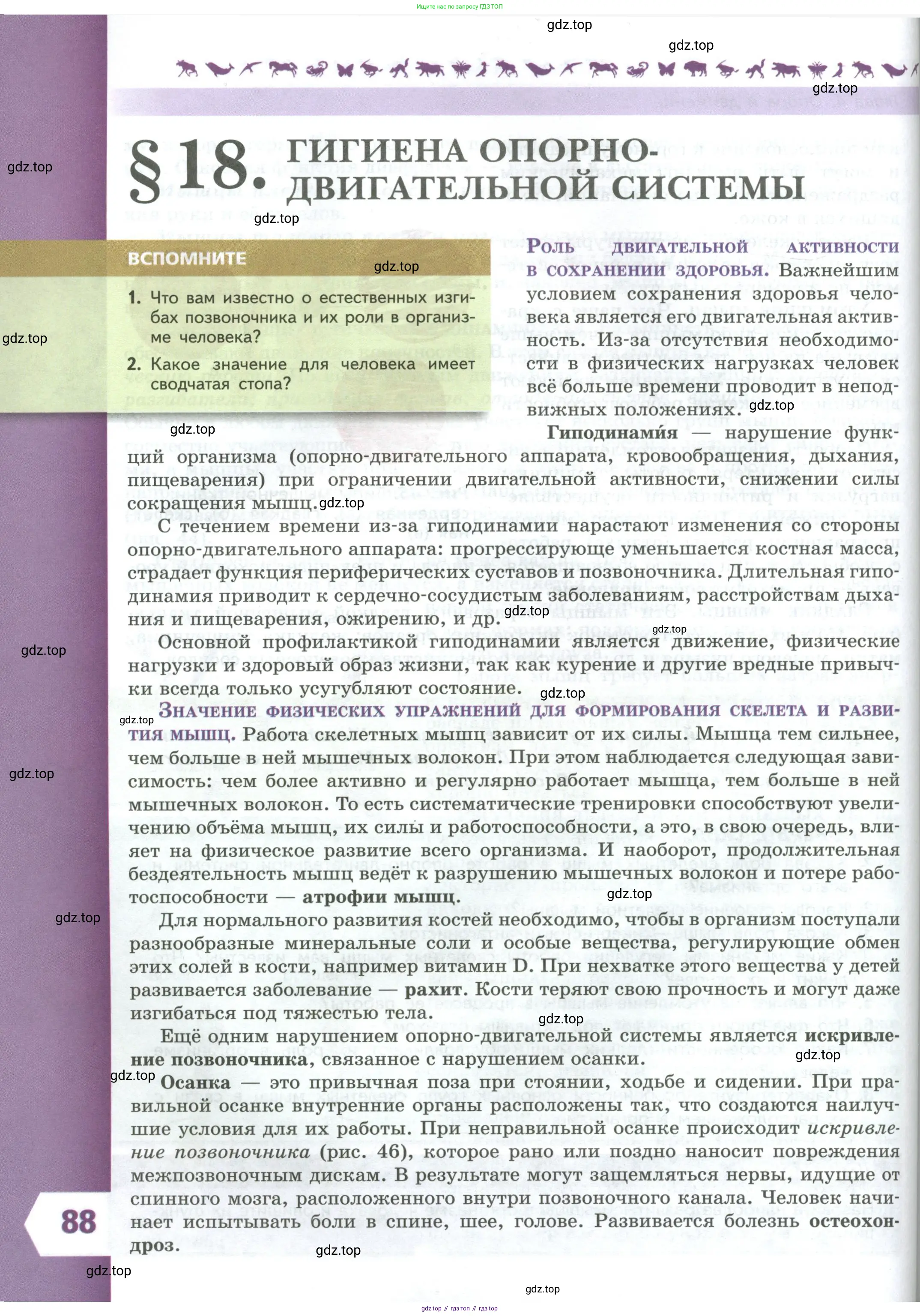 Биология, 9 класс Учебник, авторы: Пасечник Владимир Васильевич, Каменский Андрей Александрович, Швецов Глеб Геннадьевич, Гапонюк Зоя Георгиевна, издательство Просвещение, Москва, 2023, белого цвета, страница 88