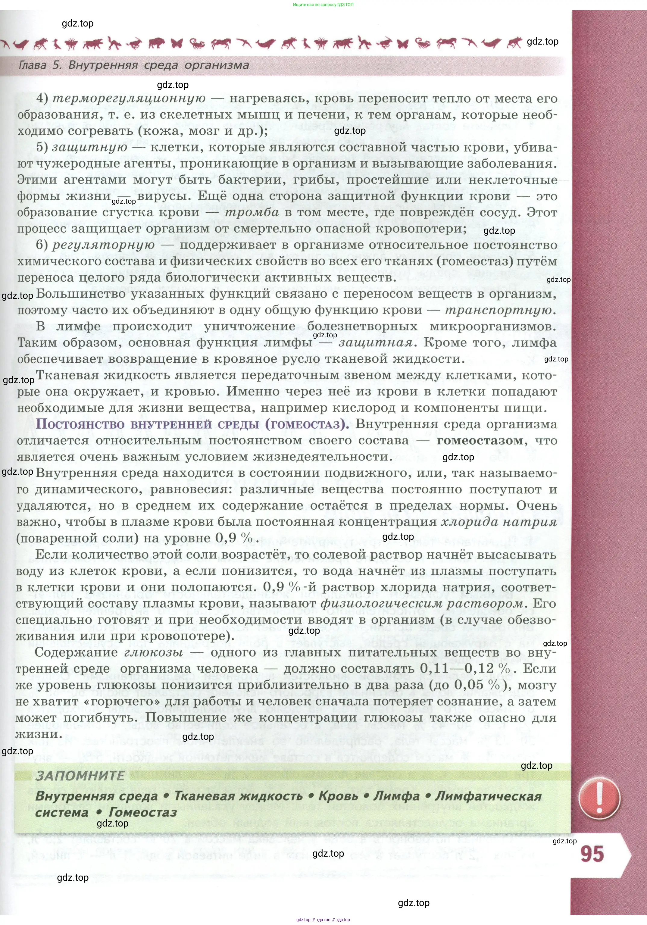 Биология, 9 класс Учебник, авторы: Пасечник Владимир Васильевич, Каменский Андрей Александрович, Швецов Глеб Геннадьевич, Гапонюк Зоя Георгиевна, издательство Просвещение, Москва, 2023, белого цвета, страница 95
