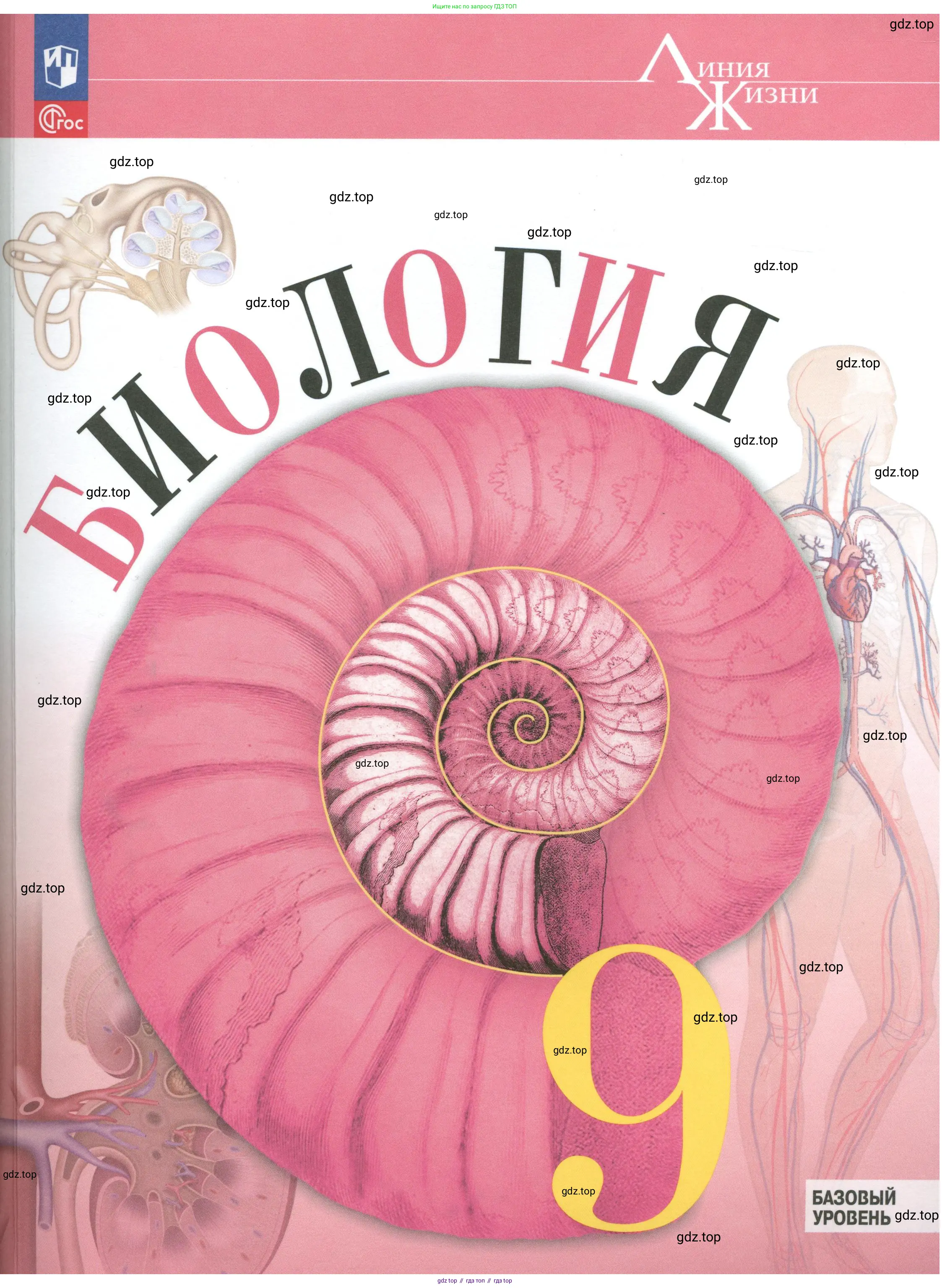 Биология, 9 класс Учебник, авторы: Пасечник Владимир Васильевич, Каменский Андрей Александрович, Швецов Глеб Геннадьевич, Гапонюк Зоя Георгиевна, издательство Просвещение, Москва, 2023, белого цвета, 
