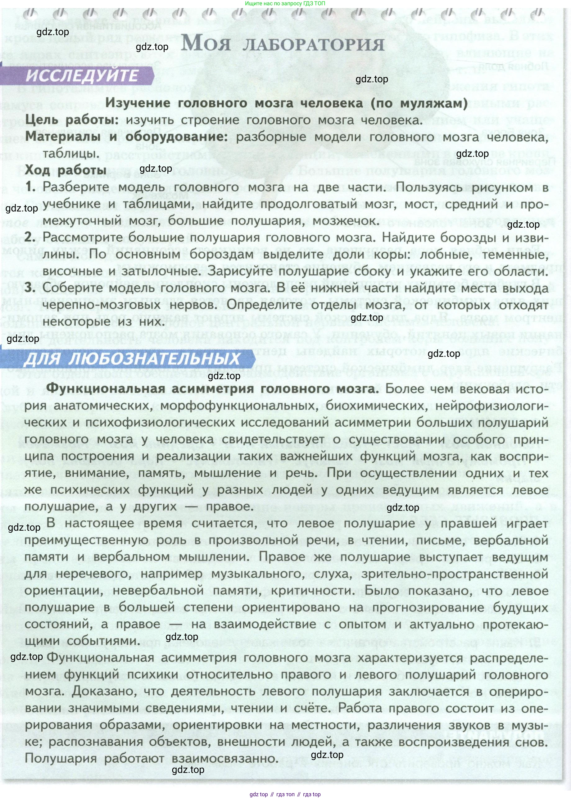 Биология, 9 класс Учебник, авторы: Пасечник Владимир Васильевич, Каменский Андрей Александрович, Швецов Глеб Геннадьевич, Гапонюк Зоя Георгиевна, издательство Просвещение, Москва, 2023, белого цвета, страница 58, Условие
