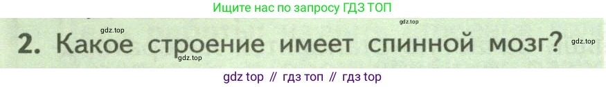 ГДЗ Биология, 9 класс Учебник, авторы: Пасечник Владимир Васильевич, Каменский Андрей Александрович, Швецов Глеб Геннадьевич, Гапонюк Зоя Георгиевна, издательство Просвещение, Москва, 2023, белого цвета, страница 60, номер 2, Условие