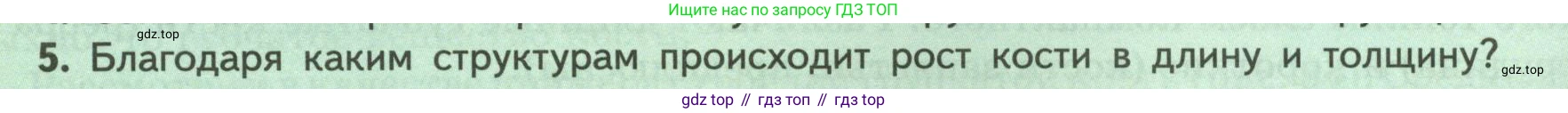 ГДЗ Биология, 9 класс Учебник, авторы: Пасечник Владимир Васильевич, Каменский Андрей Александрович, Швецов Глеб Геннадьевич, Гапонюк Зоя Георгиевна, издательство Просвещение, Москва, 2023, белого цвета, страница 76, номер 5, Условие