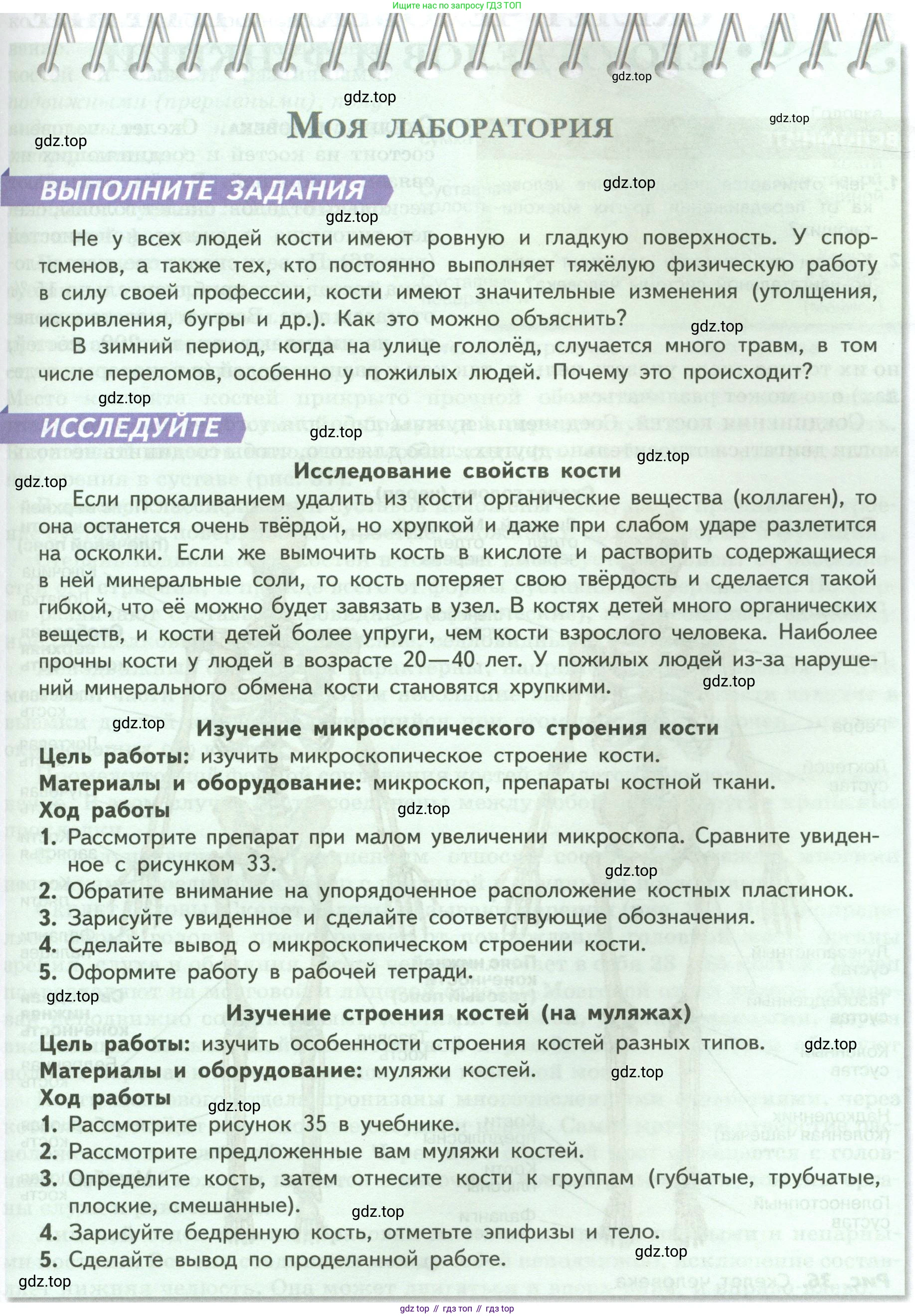 ГДЗ Биология, 9 класс Учебник, авторы: Пасечник Владимир Васильевич, Каменский Андрей Александрович, Швецов Глеб Геннадьевич, Гапонюк Зоя Георгиевна, издательство Просвещение, Москва, 2023, белого цвета, страница 77, Условие