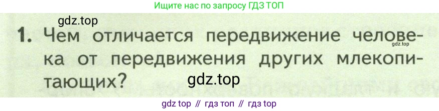 ГДЗ Биология, 9 класс Учебник, авторы: Пасечник Владимир Васильевич, Каменский Андрей Александрович, Швецов Глеб Геннадьевич, Гапонюк Зоя Георгиевна, издательство Просвещение, Москва, 2023, белого цвета, страница 78, номер 1, Условие