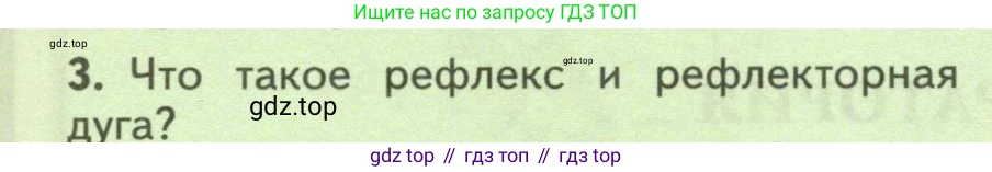 Биология, 9 класс Учебник, авторы: Пасечник Владимир Васильевич, Каменский Андрей Александрович, Швецов Глеб Геннадьевич, Гапонюк Зоя Георгиевна, издательство Просвещение, Москва, 2023, белого цвета, страница 84, номер 3, Условие