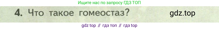 Биология, 9 класс Учебник, авторы: Пасечник Владимир Васильевич, Каменский Андрей Александрович, Швецов Глеб Геннадьевич, Гапонюк Зоя Георгиевна, издательство Просвещение, Москва, 2023, белого цвета, страница 94, номер 4, Условие