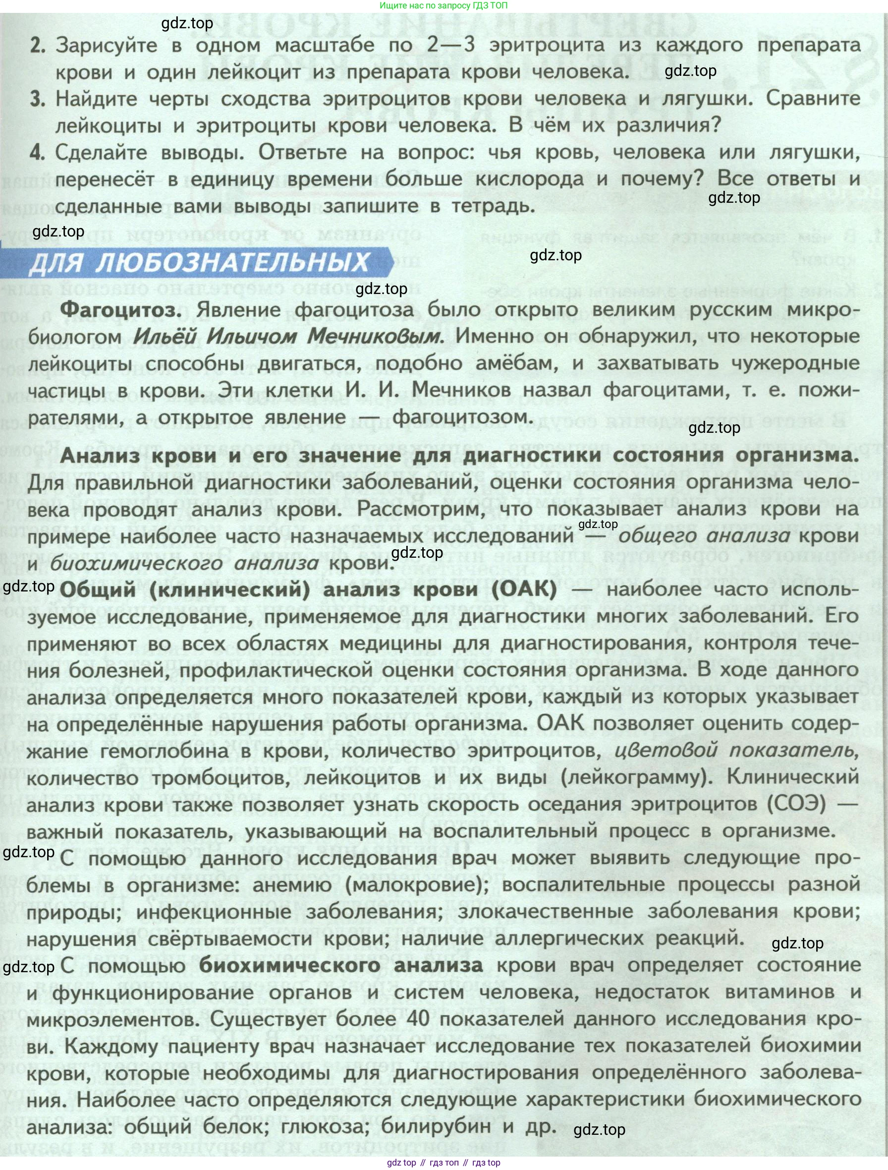 Биология, 9 класс Учебник, авторы: Пасечник Владимир Васильевич, Каменский Андрей Александрович, Швецов Глеб Геннадьевич, Гапонюк Зоя Георгиевна, издательство Просвещение, Москва, 2023, белого цвета, страница 100, Условие (продолжение 2)
