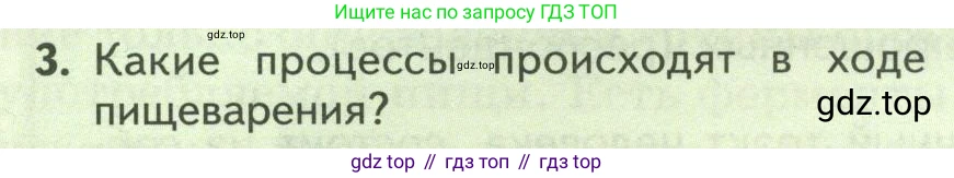 Биология, 9 класс Учебник, авторы: Пасечник Владимир Васильевич, Каменский Андрей Александрович, Швецов Глеб Геннадьевич, Гапонюк Зоя Георгиевна, издательство Просвещение, Москва, 2023, белого цвета, страница 146, номер 3, Условие