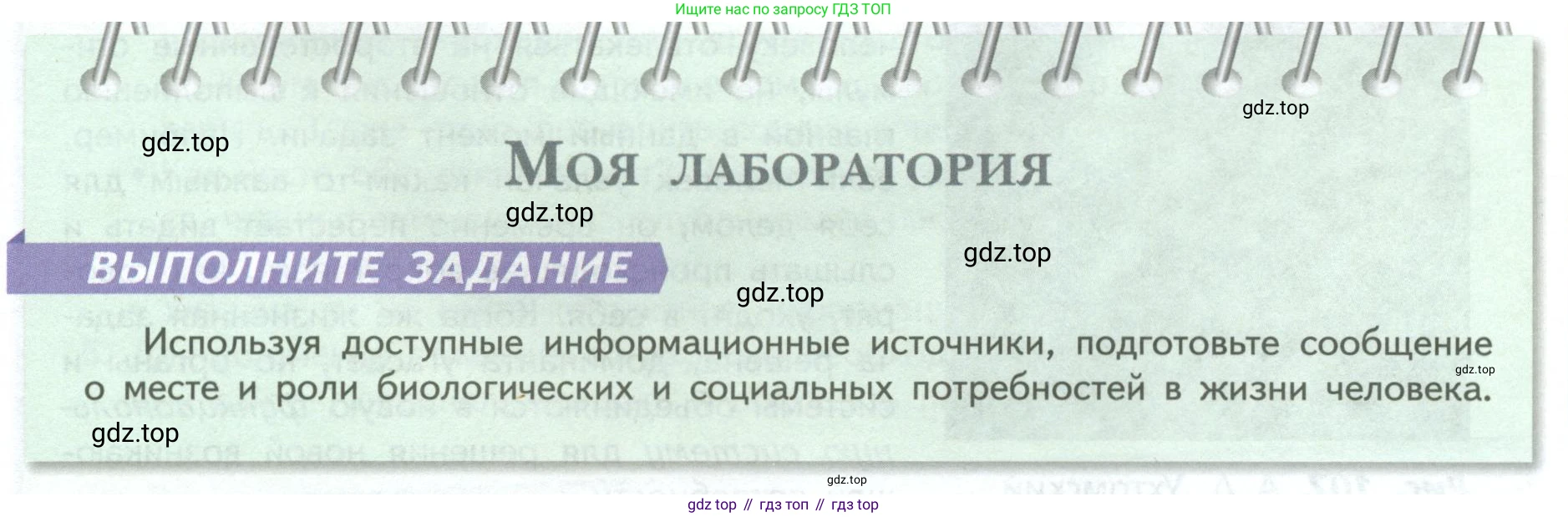 ГДЗ Биология, 9 класс Учебник, авторы: Пасечник Владимир Васильевич, Каменский Андрей Александрович, Швецов Глеб Геннадьевич, Гапонюк Зоя Георгиевна, издательство Просвещение, Москва, 2023, белого цвета, страница 229, Условие