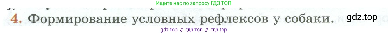 ГДЗ Биология, 9 класс Учебник, авторы: Пасечник Владимир Васильевич, Каменский Андрей Александрович, Швецов Глеб Геннадьевич, Гапонюк Зоя Георгиевна, издательство Просвещение, Москва, 2023, белого цвета, страница 250, номер 4, Условие