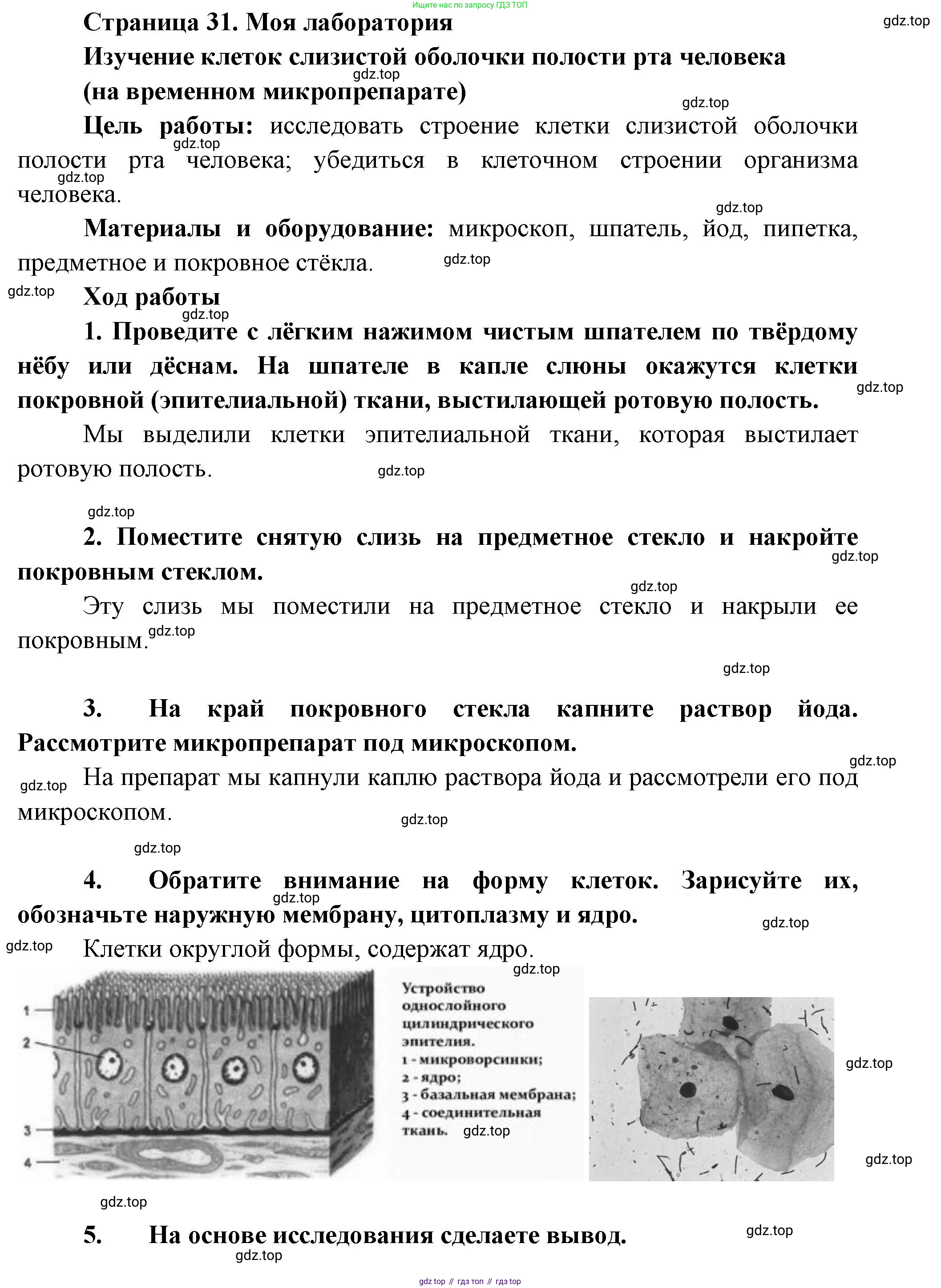 Биология, 9 класс Учебник, авторы: Пасечник Владимир Васильевич, Каменский Андрей Александрович, Швецов Глеб Геннадьевич, Гапонюк Зоя Георгиевна, издательство Просвещение, Москва, 2023, белого цвета, страница 31, Решение
