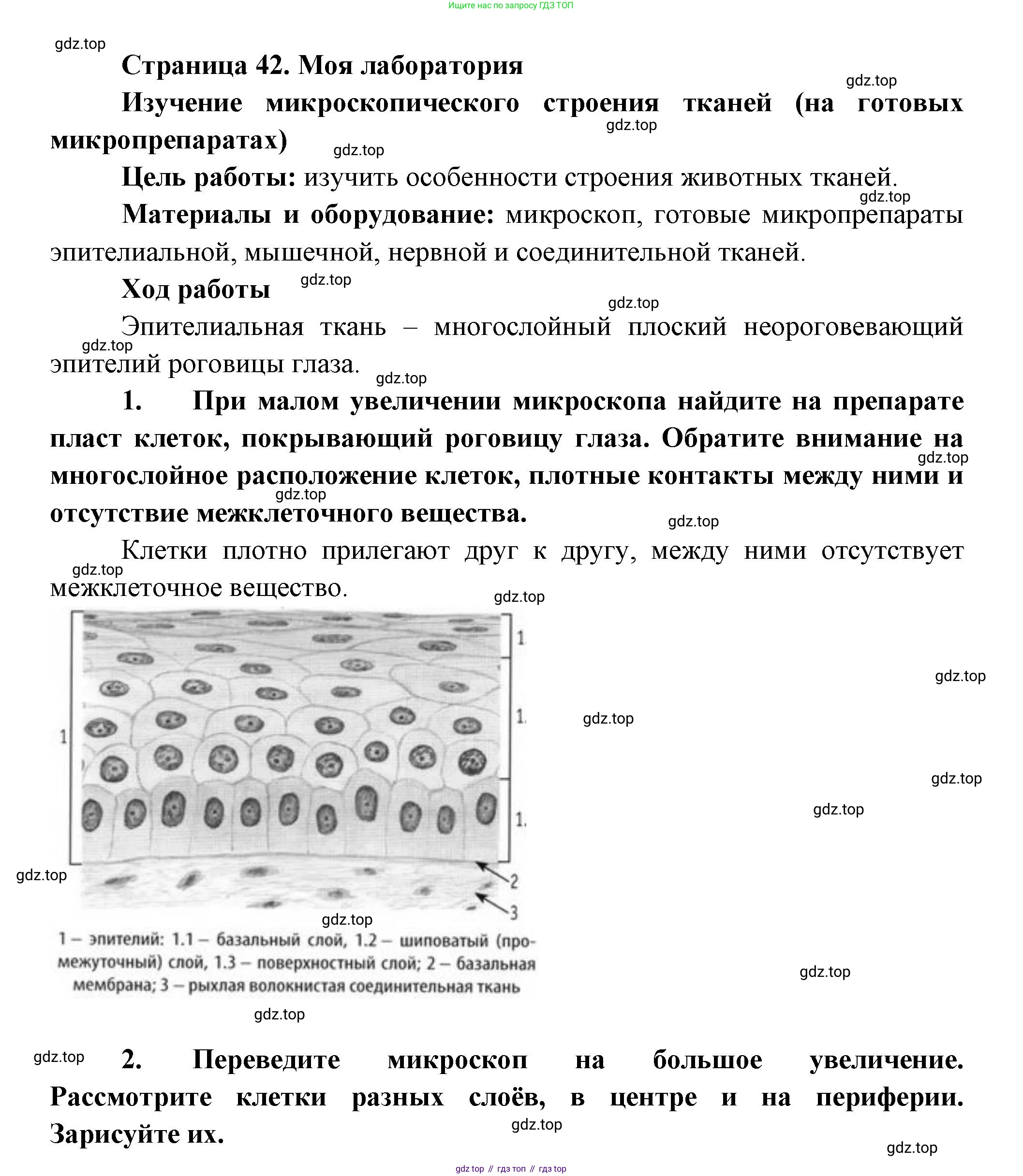 ГДЗ Биология, 9 класс Учебник, авторы: Пасечник Владимир Васильевич, Каменский Андрей Александрович, Швецов Глеб Геннадьевич, Гапонюк Зоя Георгиевна, издательство Просвещение, Москва, 2023, белого цвета, страница 42, Решение