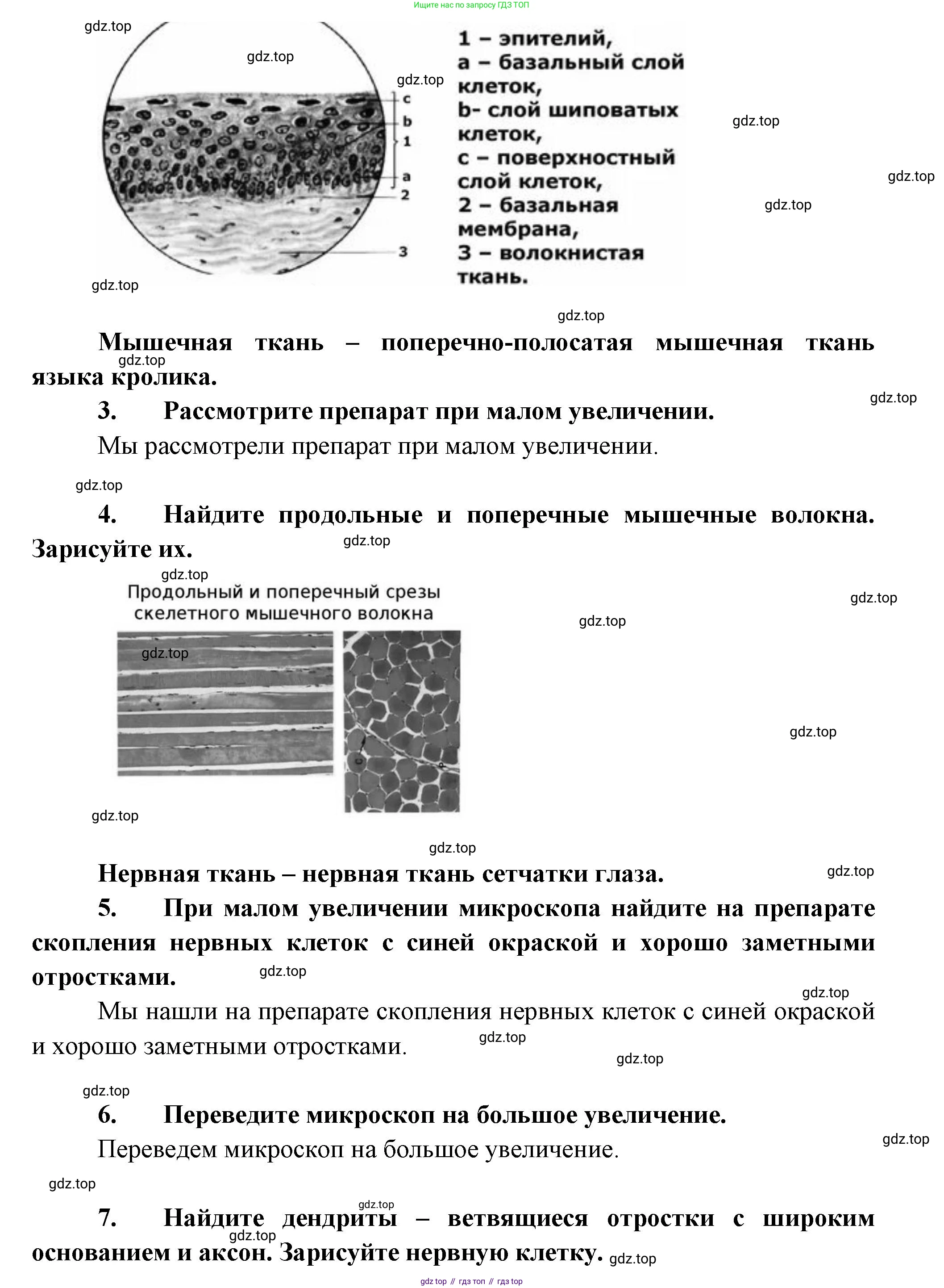 ГДЗ Биология, 9 класс Учебник, авторы: Пасечник Владимир Васильевич, Каменский Андрей Александрович, Швецов Глеб Геннадьевич, Гапонюк Зоя Георгиевна, издательство Просвещение, Москва, 2023, белого цвета, страница 42, Решение (продолжение 2)