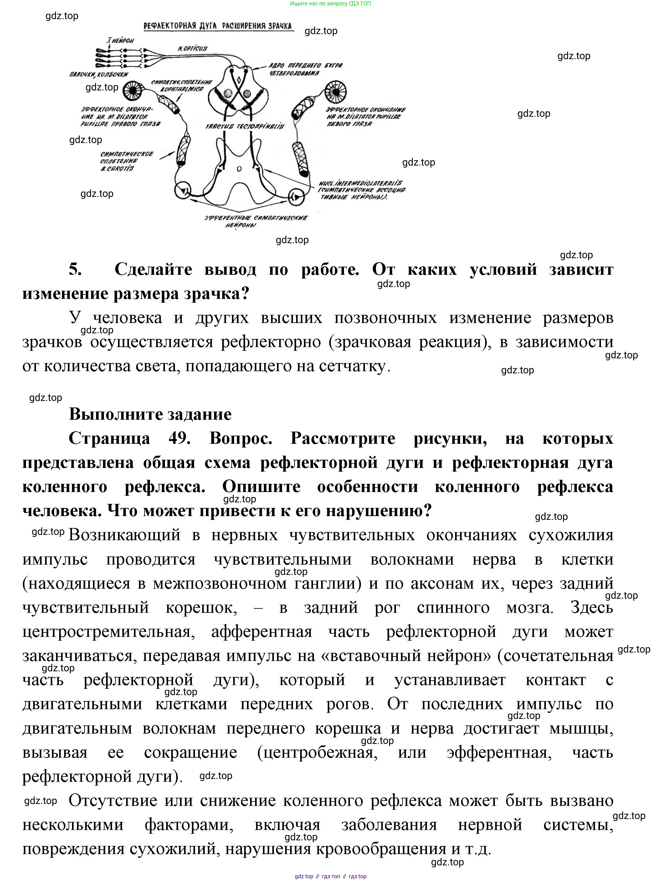 ГДЗ Биология, 9 класс Учебник, авторы: Пасечник Владимир Васильевич, Каменский Андрей Александрович, Швецов Глеб Геннадьевич, Гапонюк Зоя Георгиевна, издательство Просвещение, Москва, 2023, белого цвета, страница 49, Решение (продолжение 3)