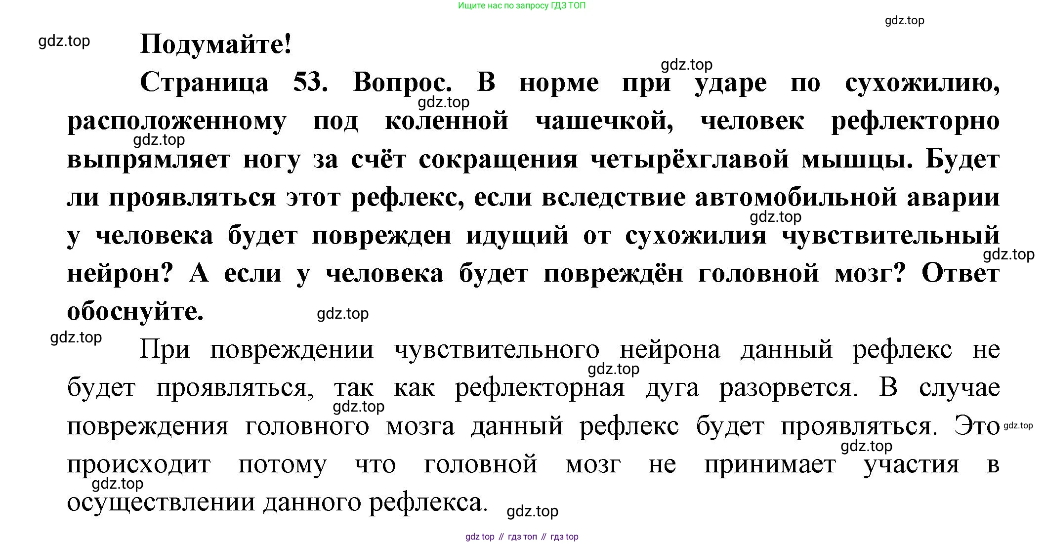 ГДЗ Биология, 9 класс Учебник, авторы: Пасечник Владимир Васильевич, Каменский Андрей Александрович, Швецов Глеб Геннадьевич, Гапонюк Зоя Георгиевна, издательство Просвещение, Москва, 2023, белого цвета, страница 53, Решение