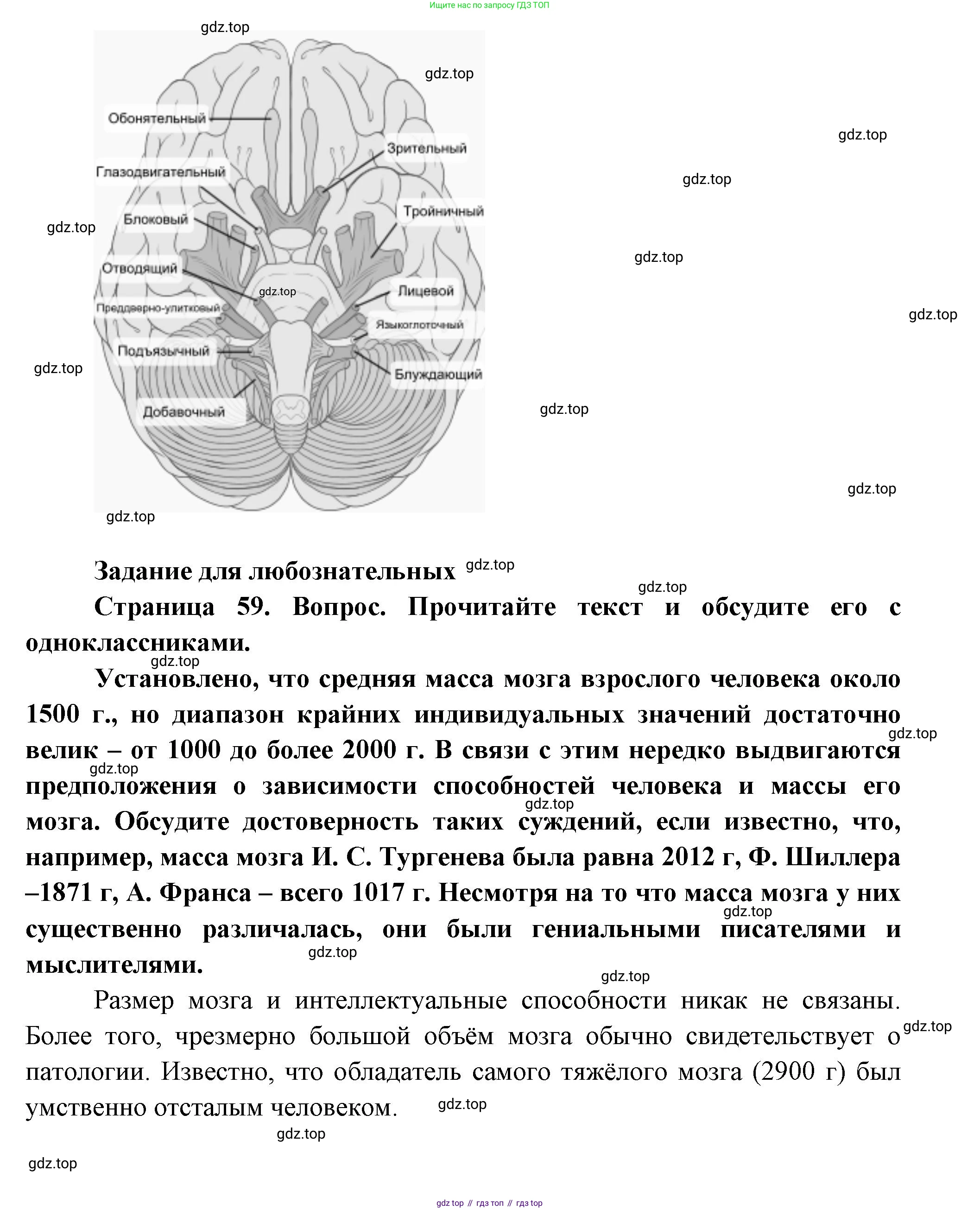Биология, 9 класс Учебник, авторы: Пасечник Владимир Васильевич, Каменский Андрей Александрович, Швецов Глеб Геннадьевич, Гапонюк Зоя Георгиевна, издательство Просвещение, Москва, 2023, белого цвета, страница 58, Решение (продолжение 3)