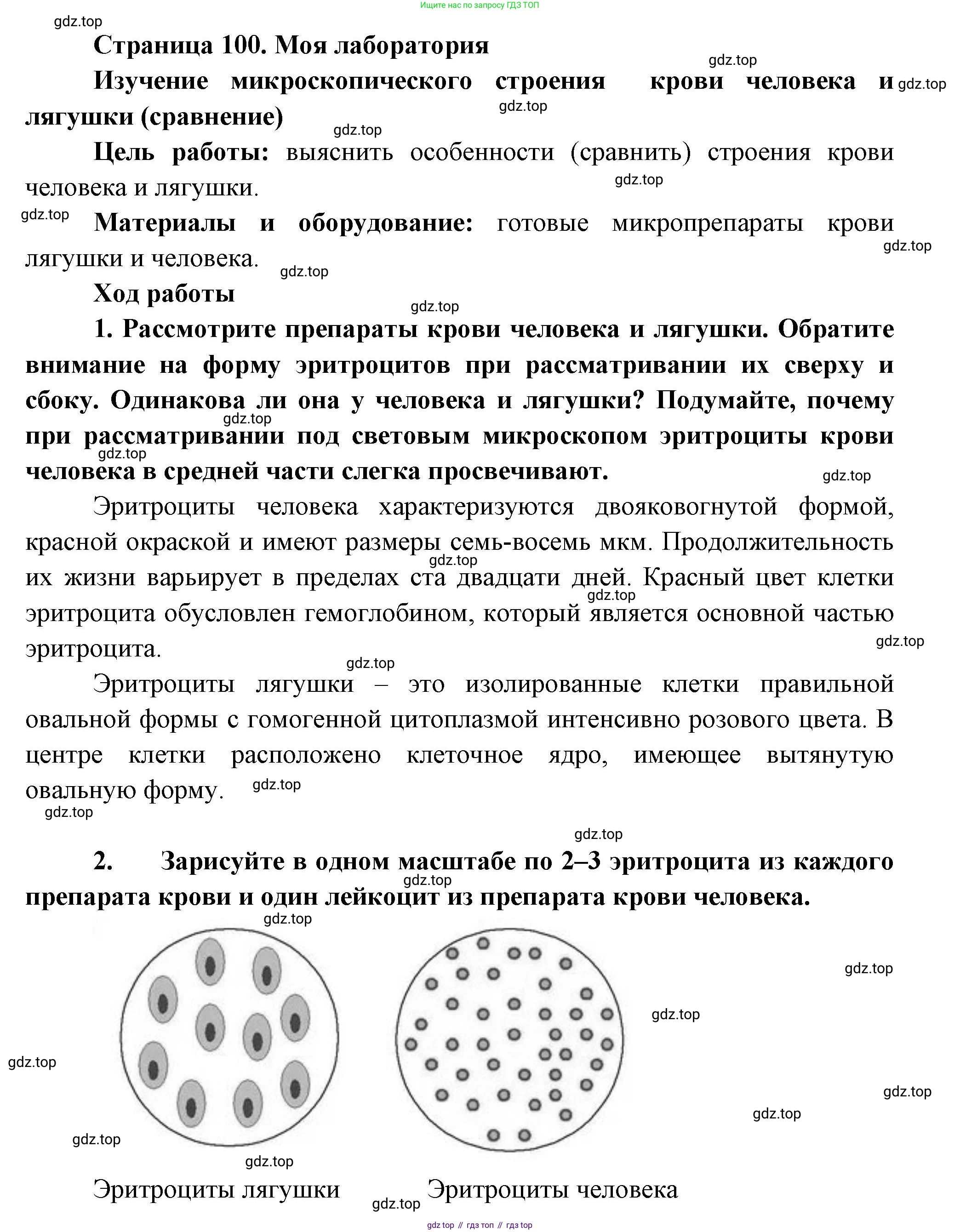 Биология, 9 класс Учебник, авторы: Пасечник Владимир Васильевич, Каменский Андрей Александрович, Швецов Глеб Геннадьевич, Гапонюк Зоя Георгиевна, издательство Просвещение, Москва, 2023, белого цвета, страница 100, Решение